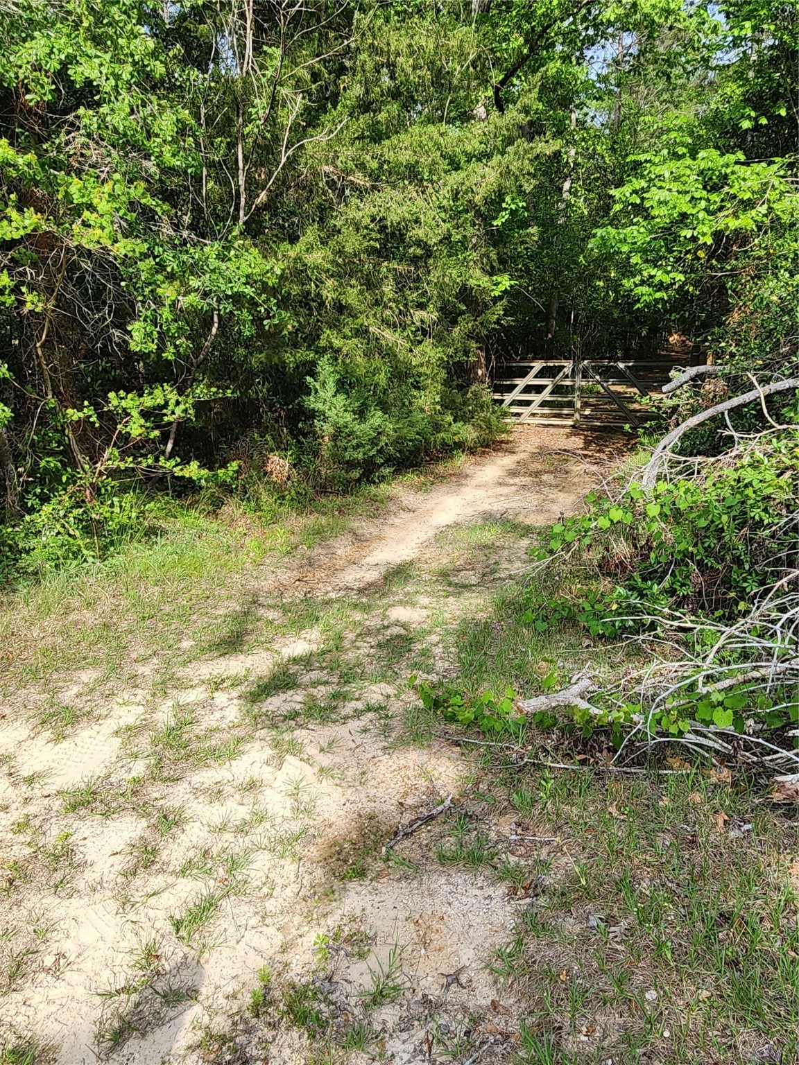 Tbd Ward Road Property Photo 16
