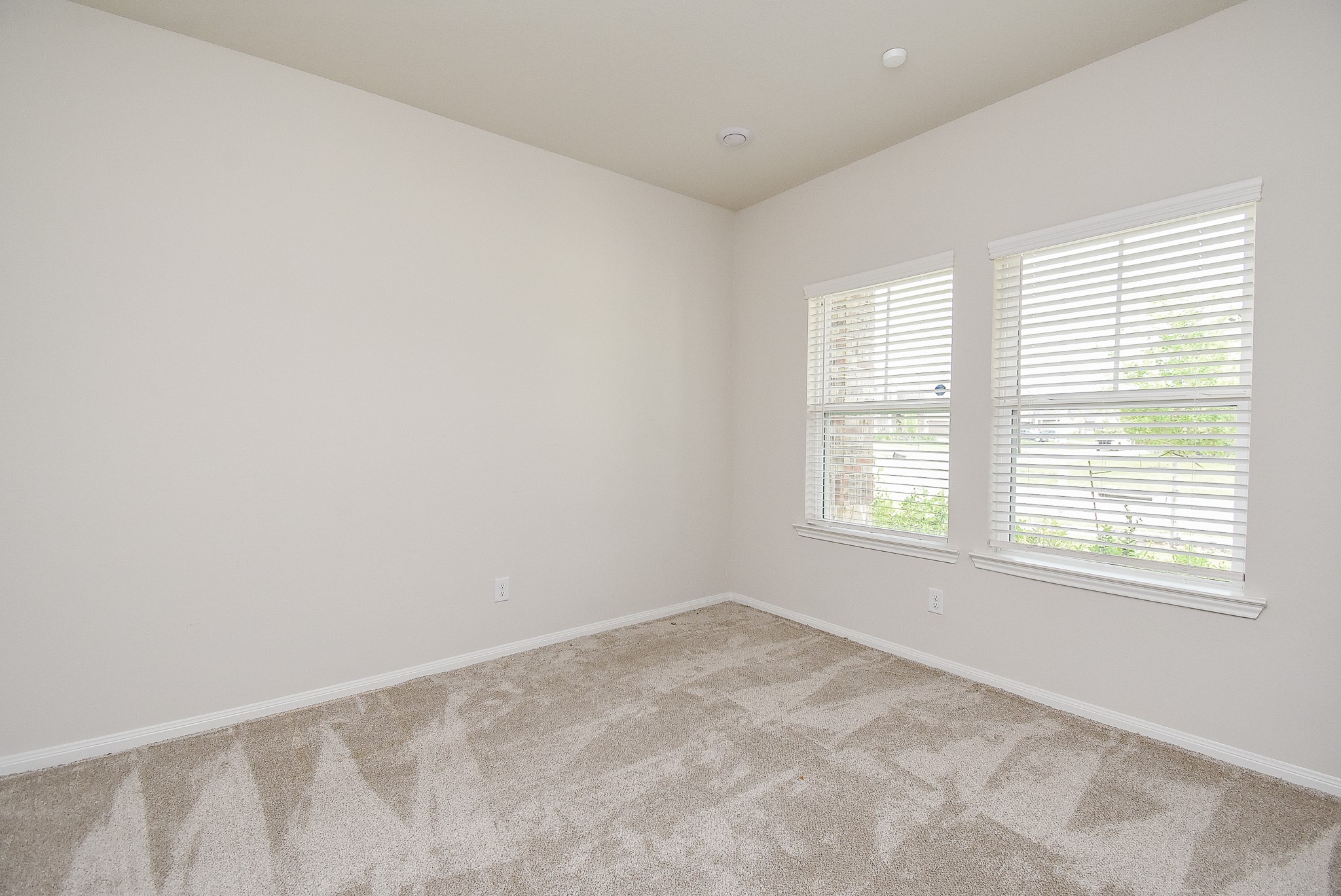 21502 Carbone Lane Property Photo 15