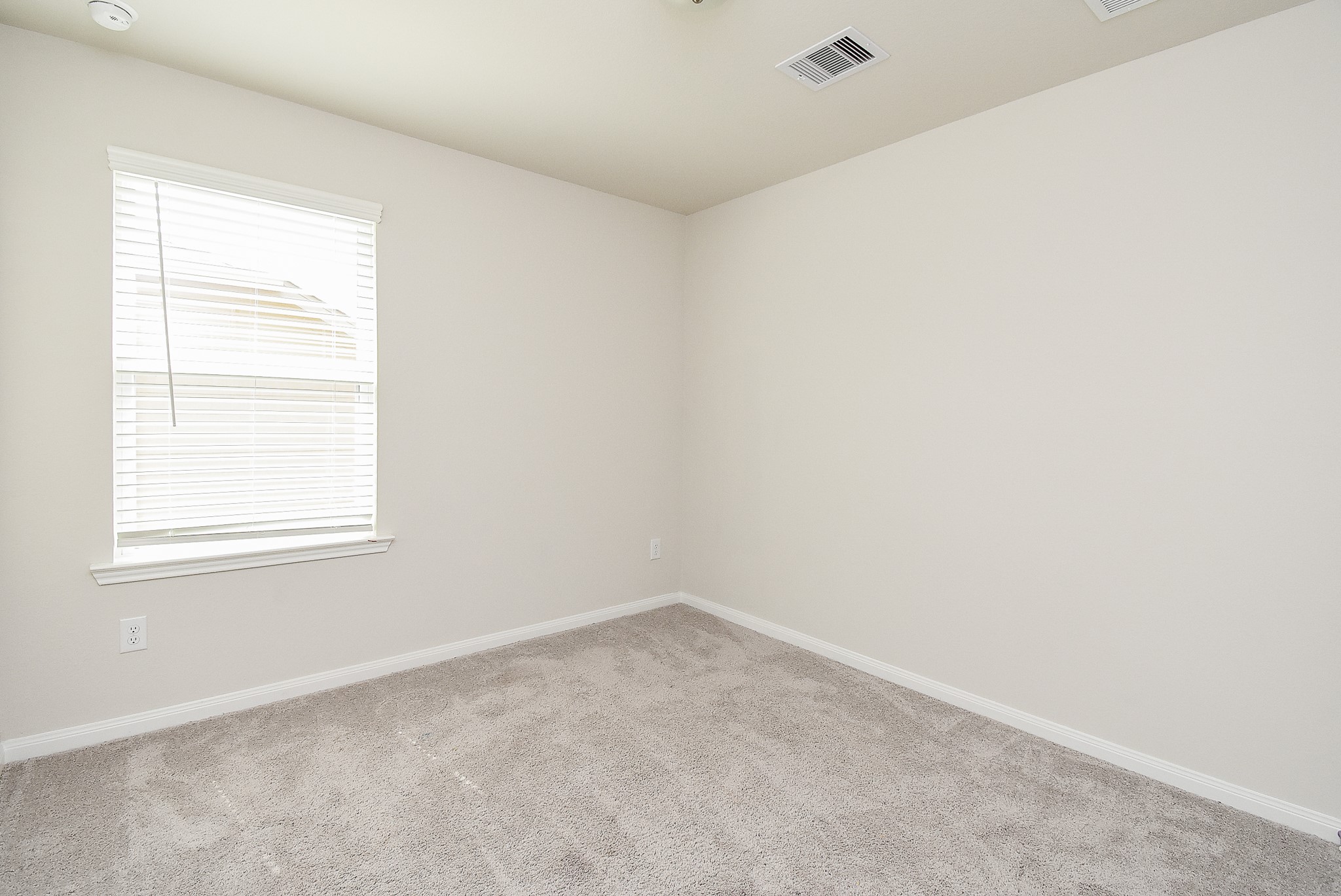 21502 Carbone Lane Property Photo 23