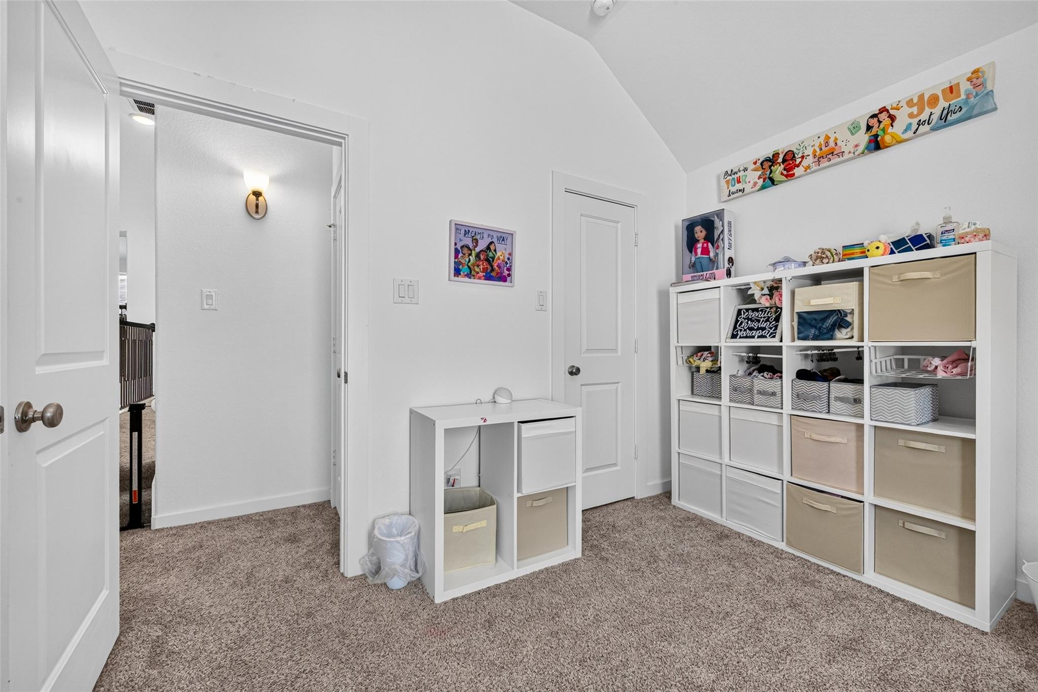 10114 Brush Way Property Photo 37