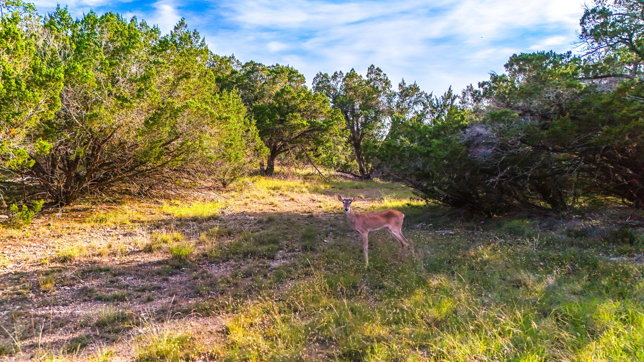 2171 Stagecoach Way Property Photo 16