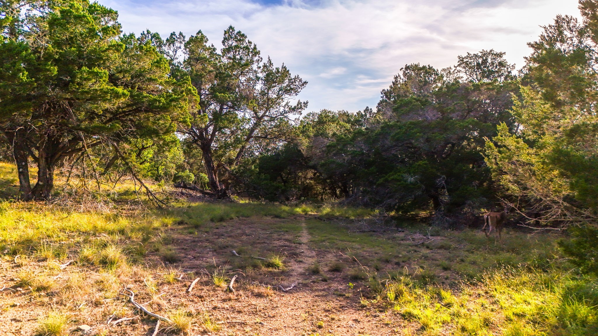 2171 Stagecoach Way Property Photo 18