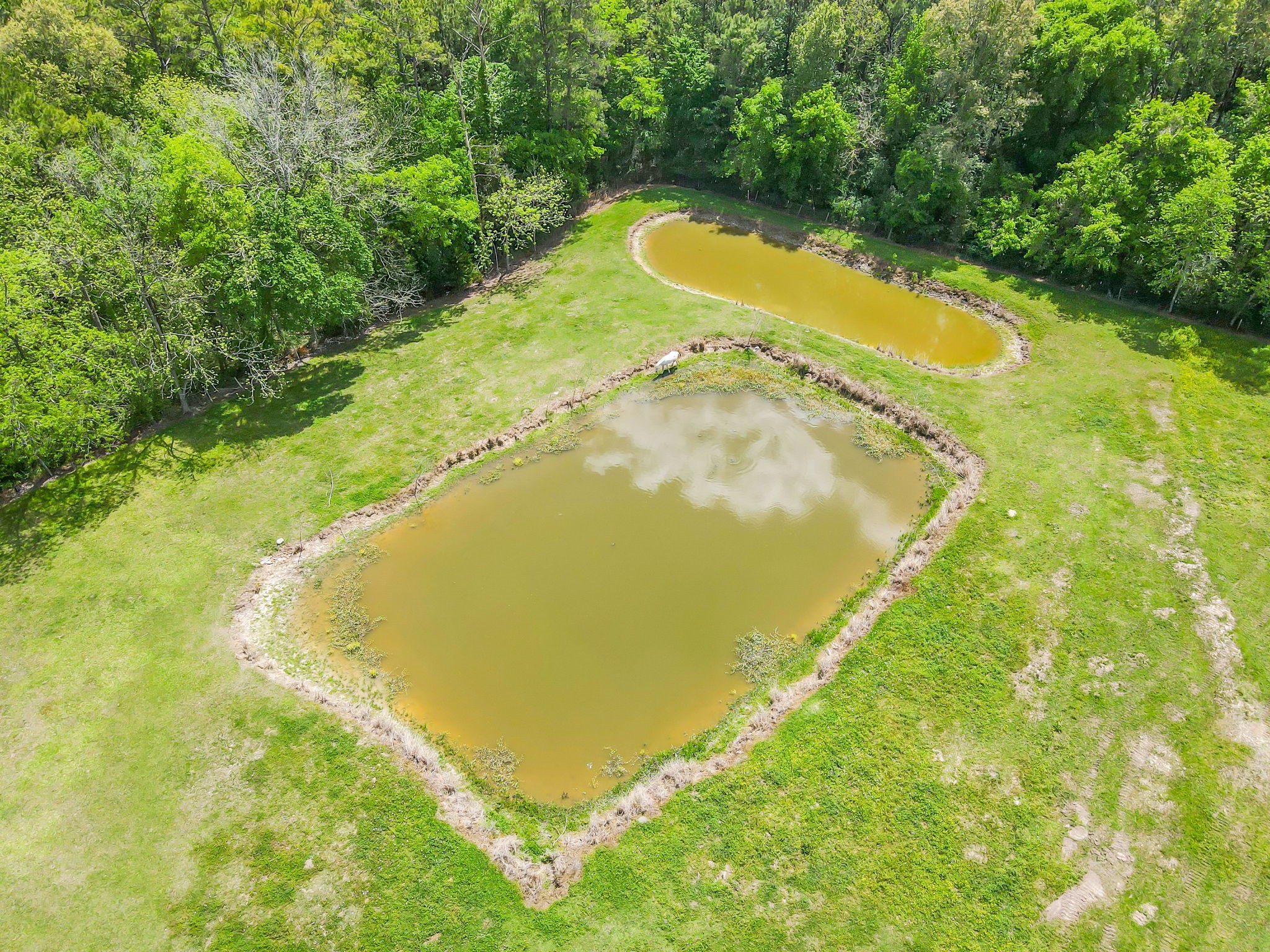 209 Camden Road Property Photo 46