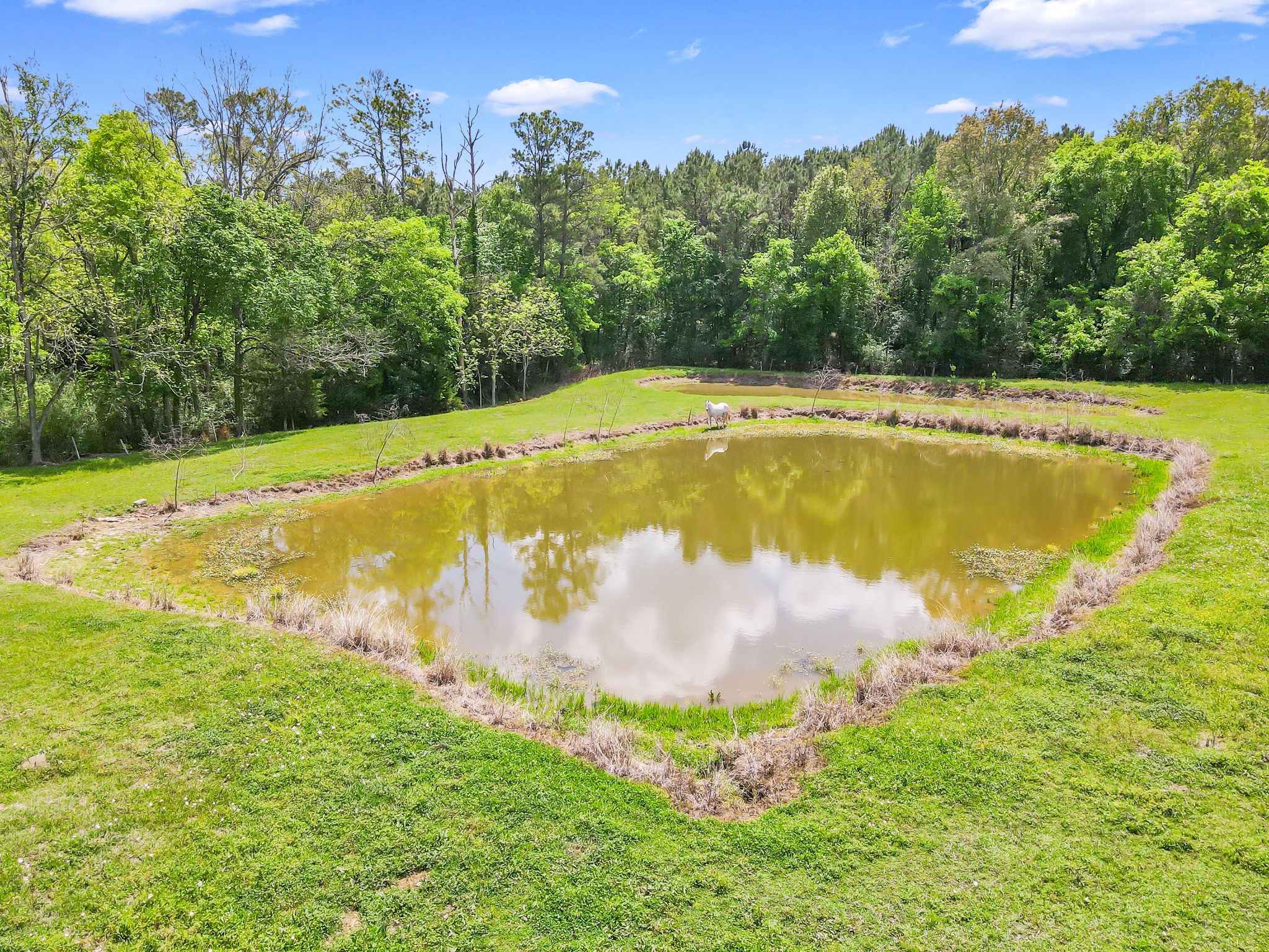 209 Camden Road Property Photo 47
