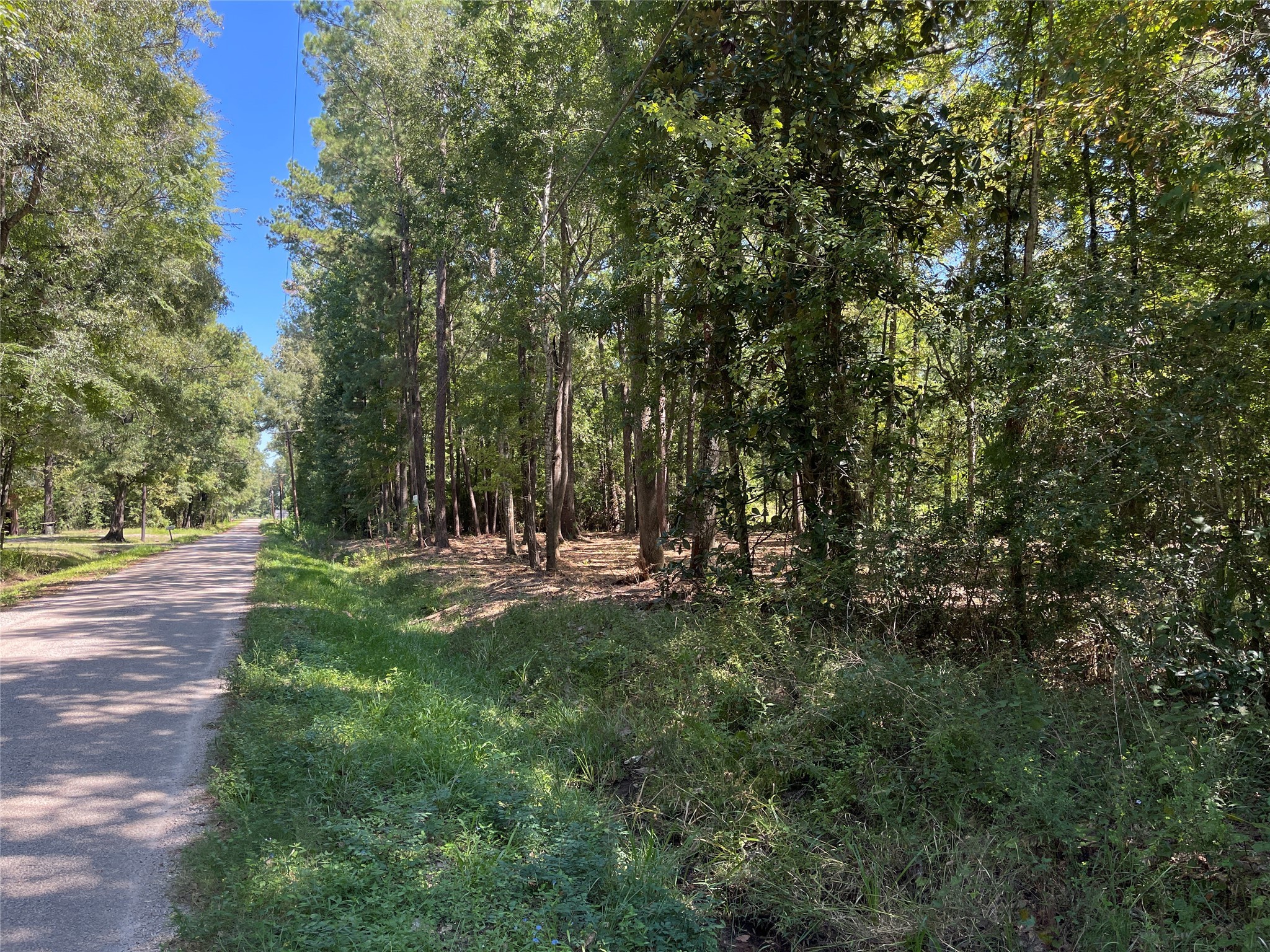 0 County Road 3812 Property Photo 1