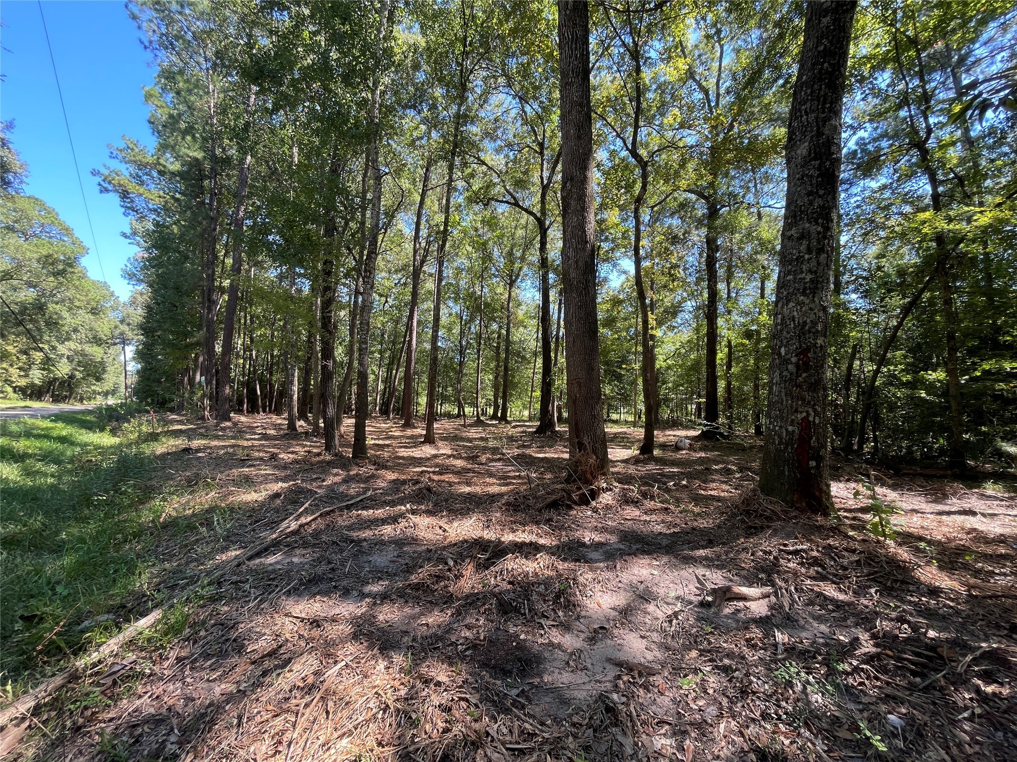 0 County Road 3812 Property Photo 2