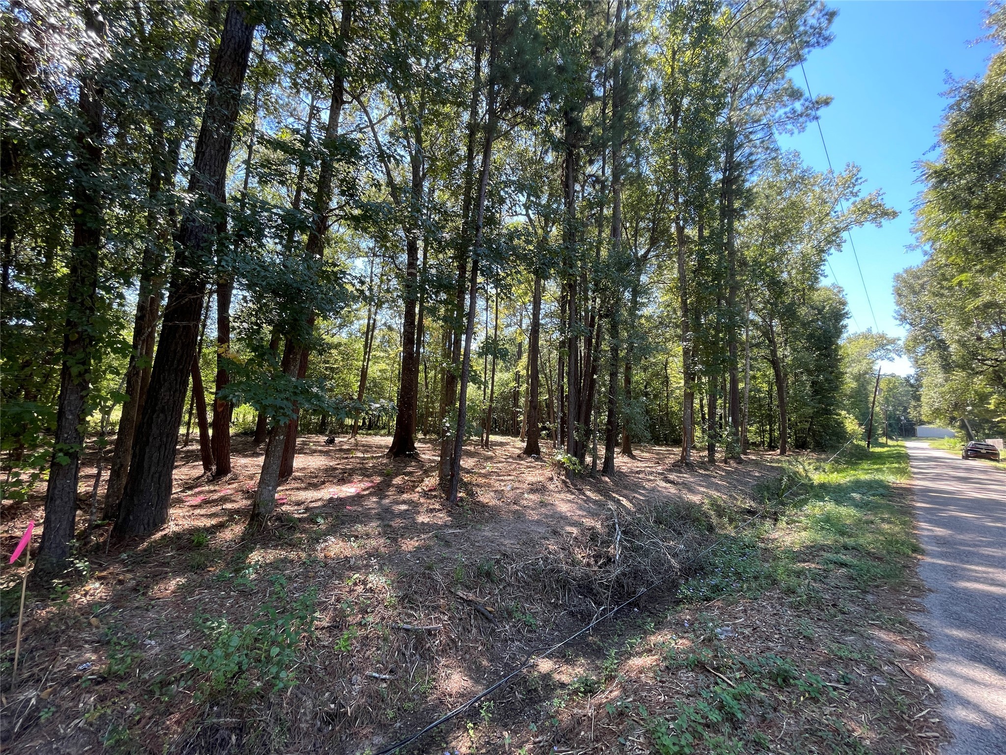 0 County Road 3812 Property Photo 5