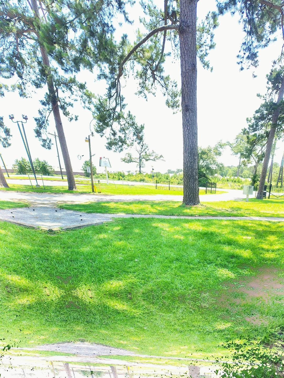 16211 Fm 3083 Road 2 Property Photo 15