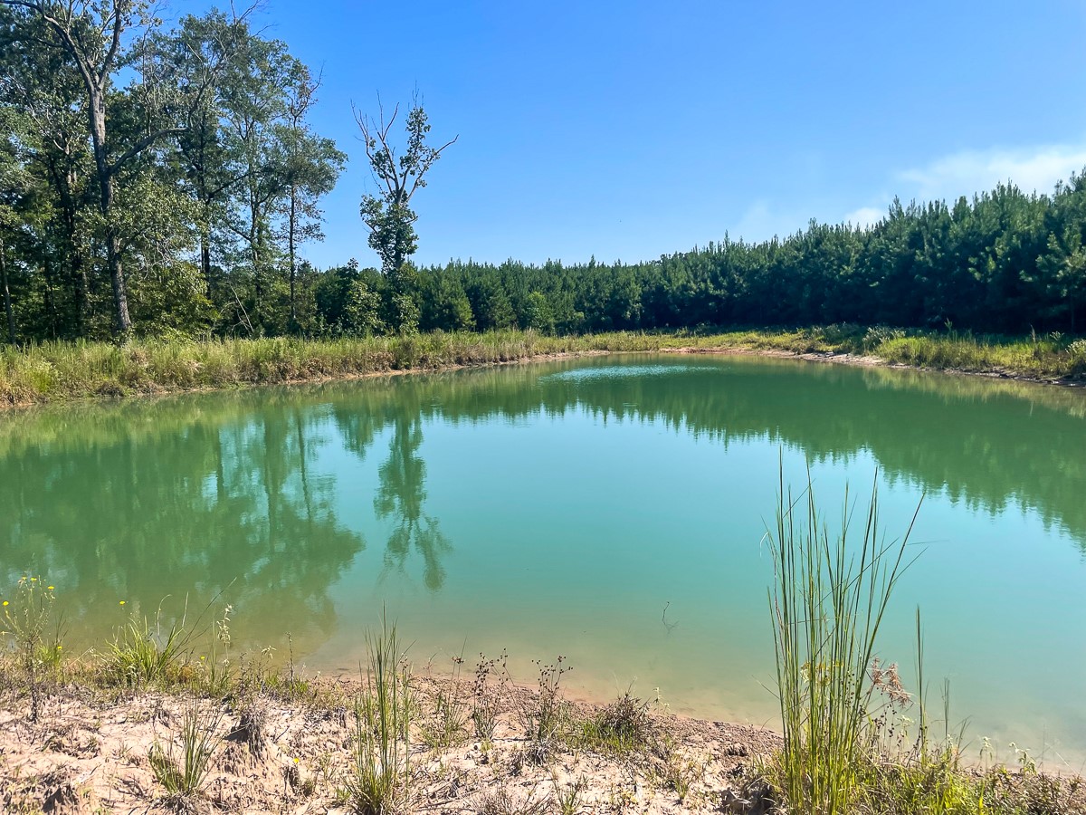 Tbd Union Springs Rd Property Photo 1