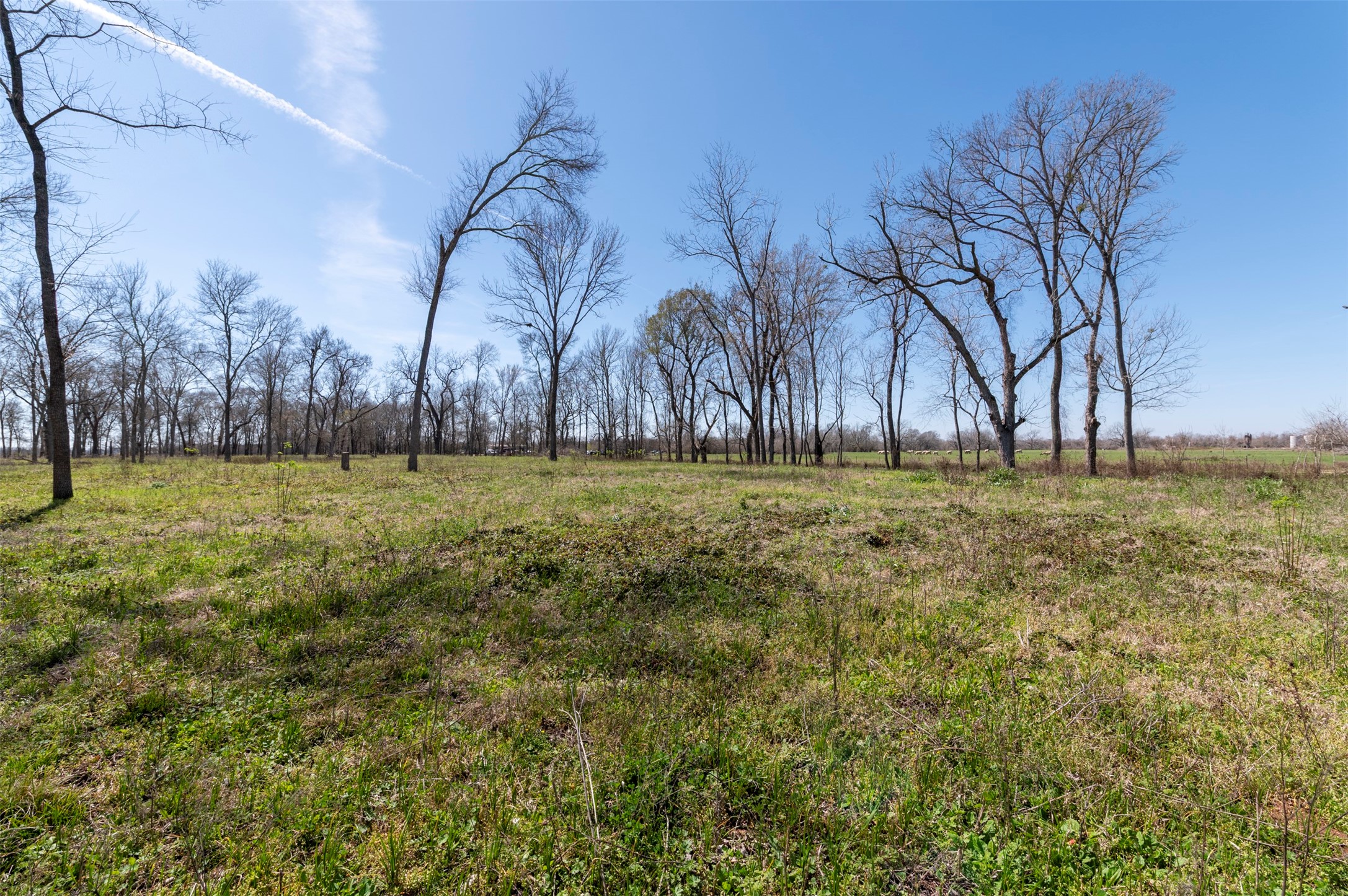 40617 Lg Lane Property Photo 4