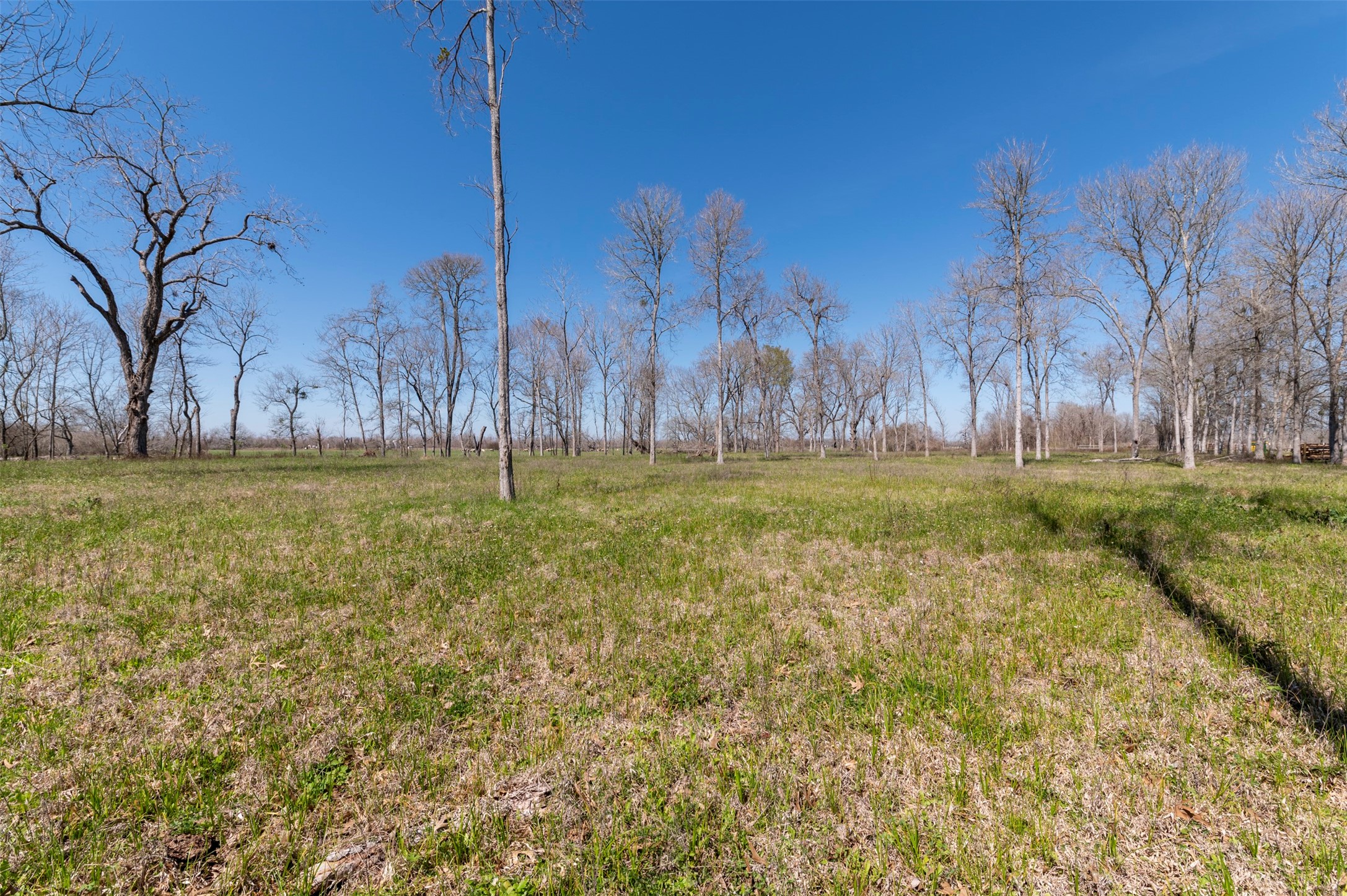40617 Lg Lane Property Photo 7