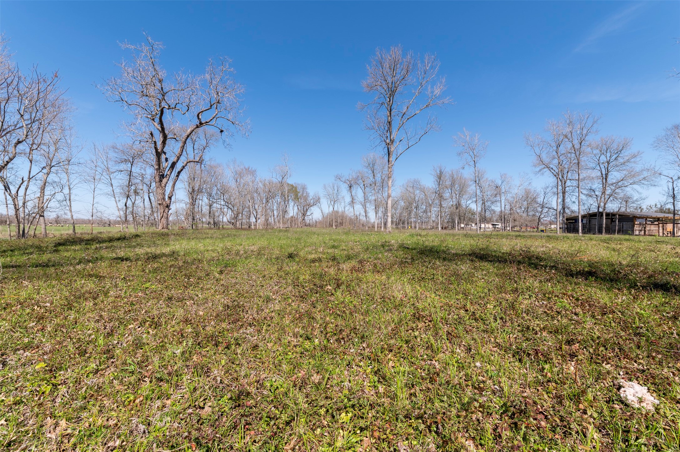 40617 Lg Lane Property Photo 10