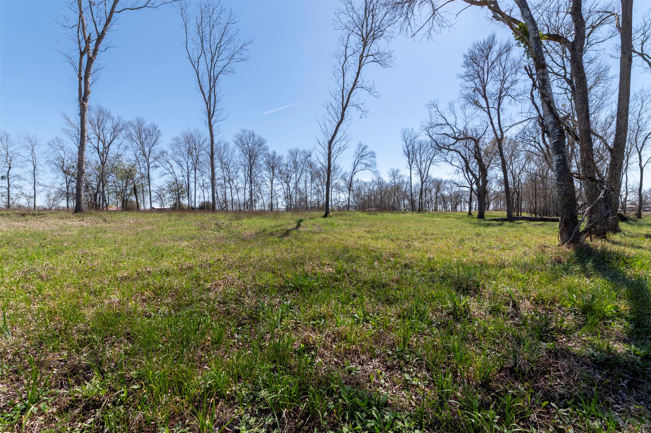40617 Lg Lane Property Photo 12