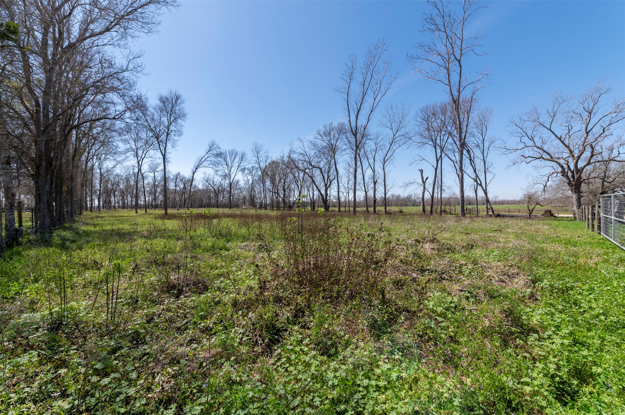 40617 Lg Lane Property Photo 13