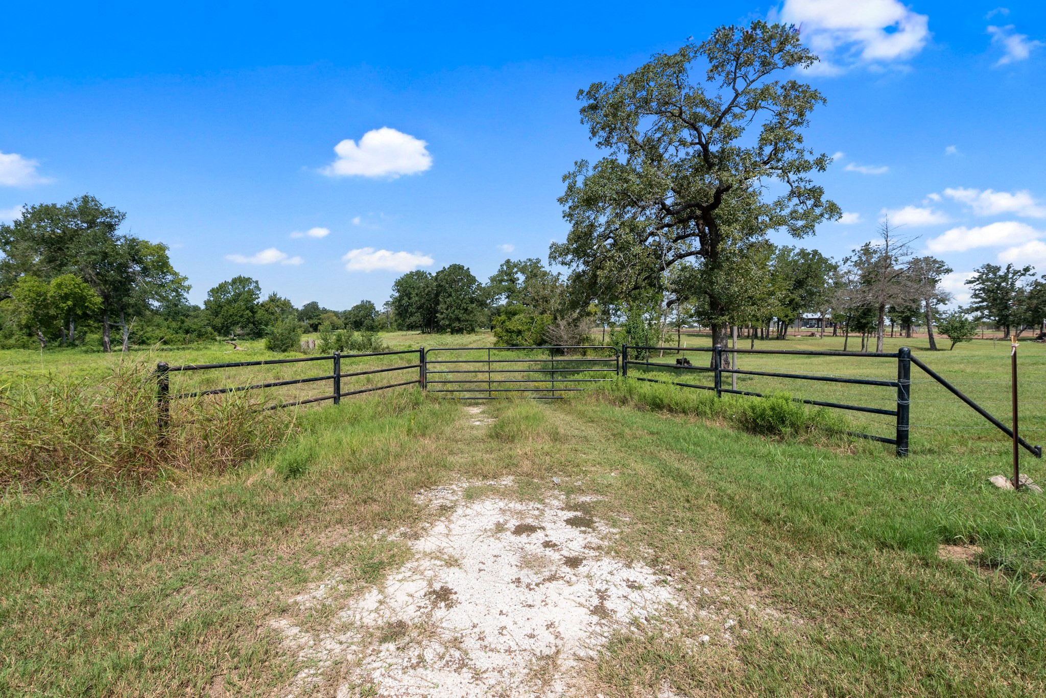 Tbd Cazey Loop Property Photo 4