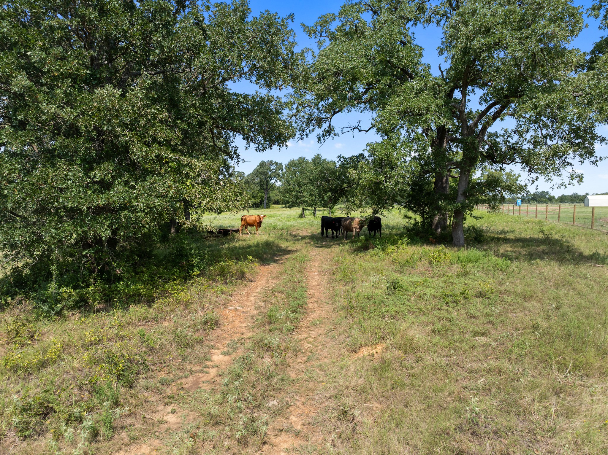 Tbd Cazey Loop Property Photo 5
