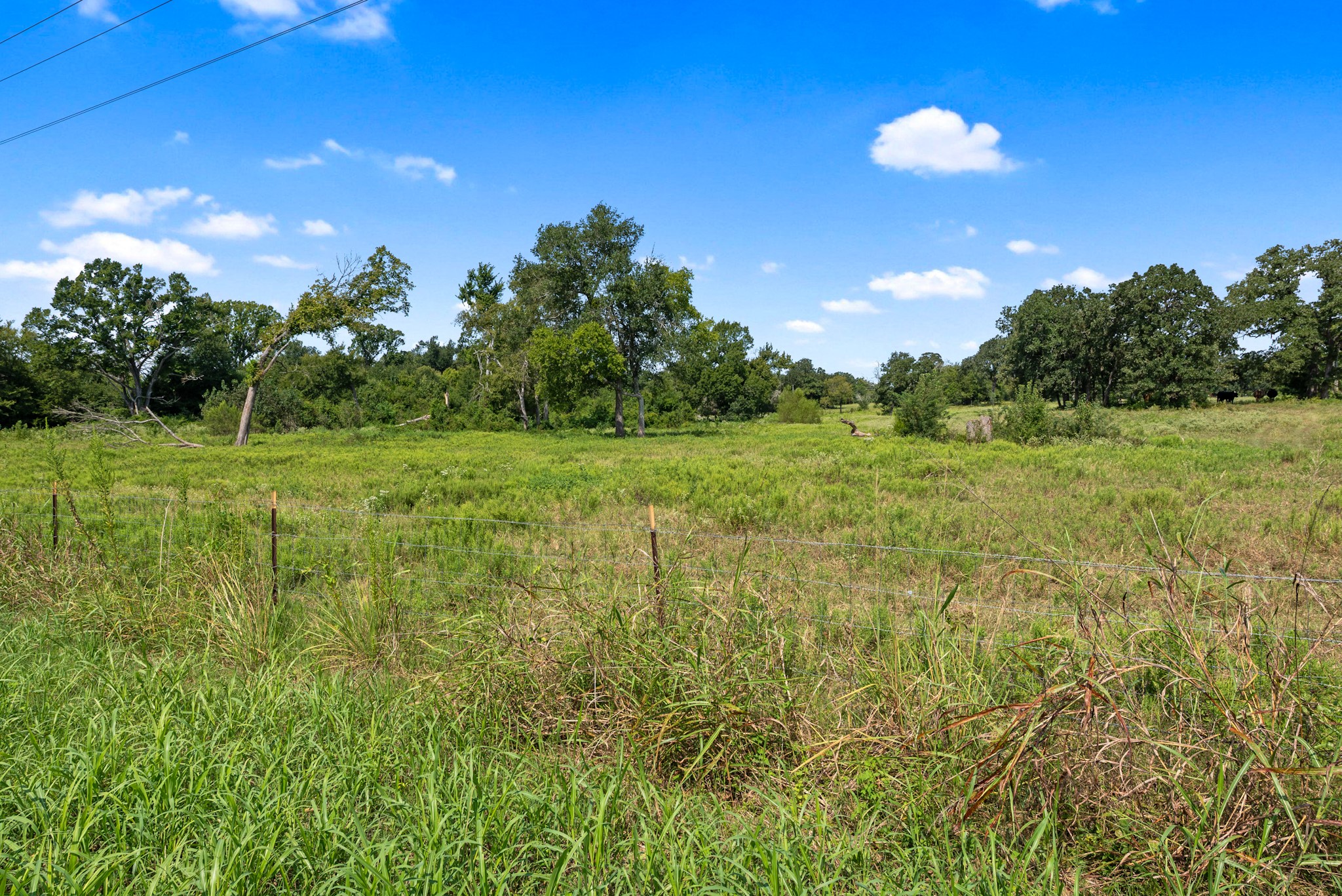 Tbd Cazey Loop Property Photo 6
