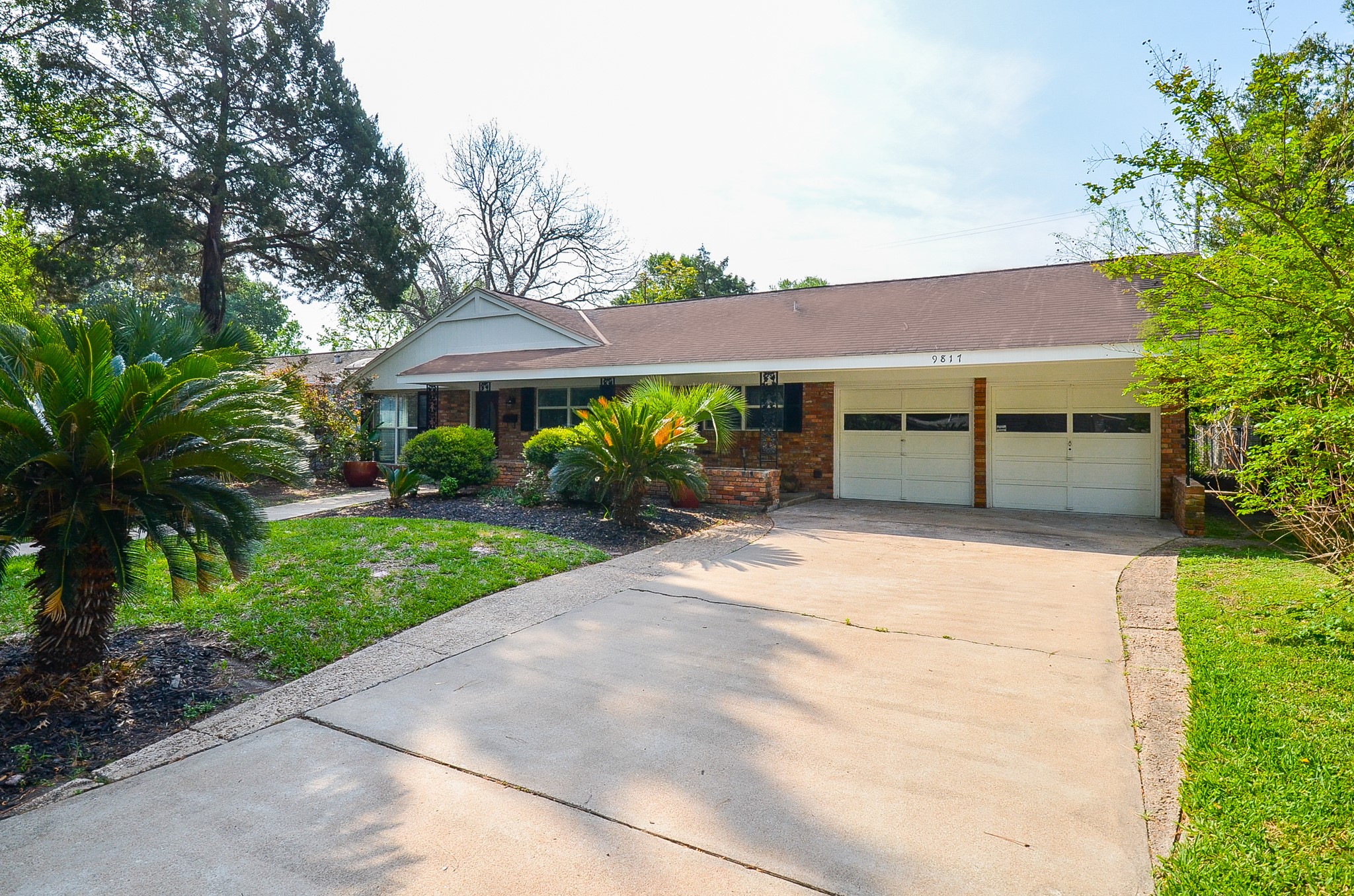 9817 Cedardale Drive Property Photo 3