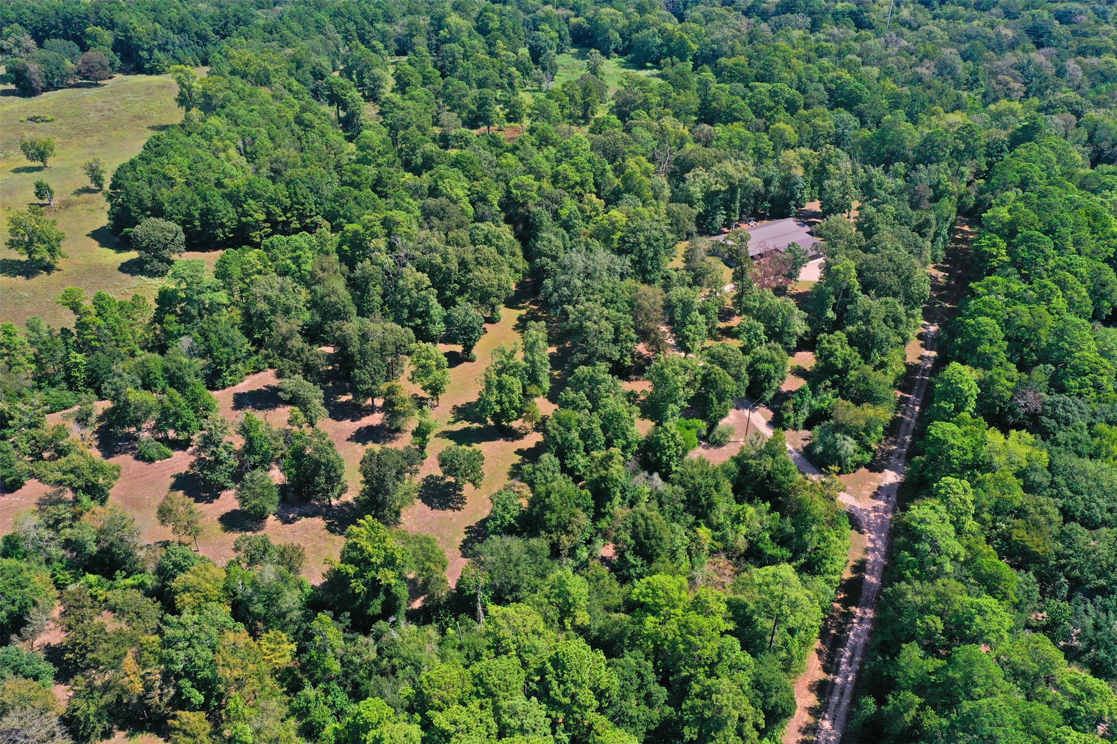 6970 Longmire Road Property Photo 17
