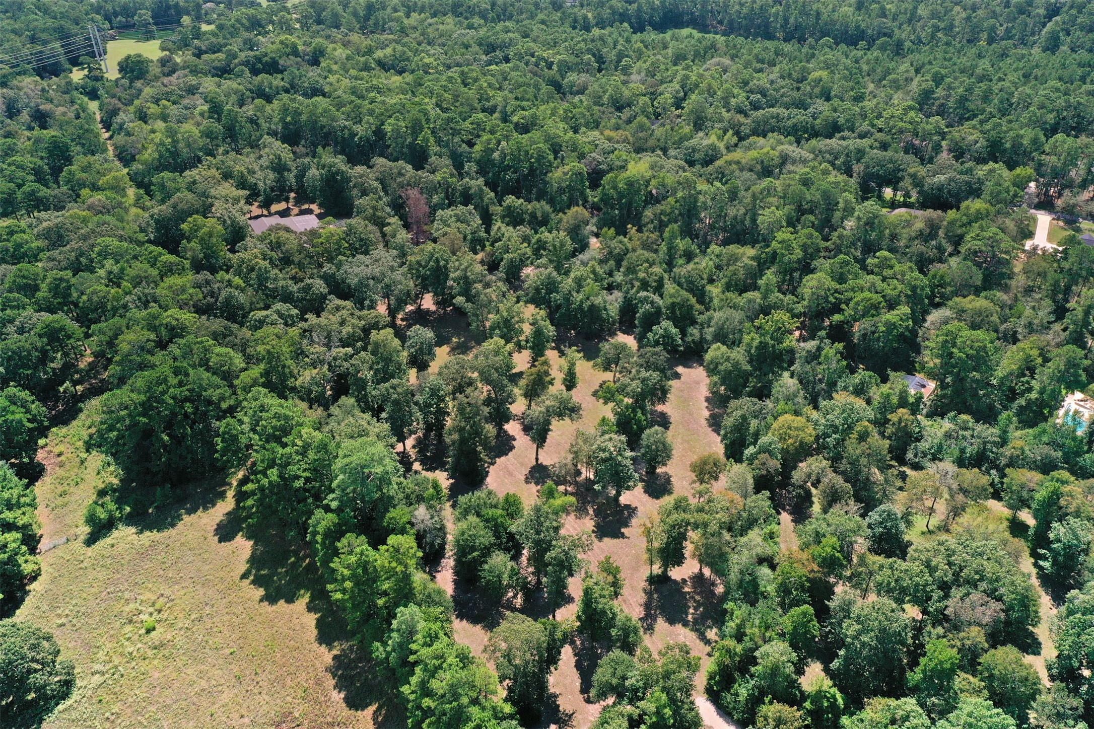 6970 Longmire Road Property Photo 19