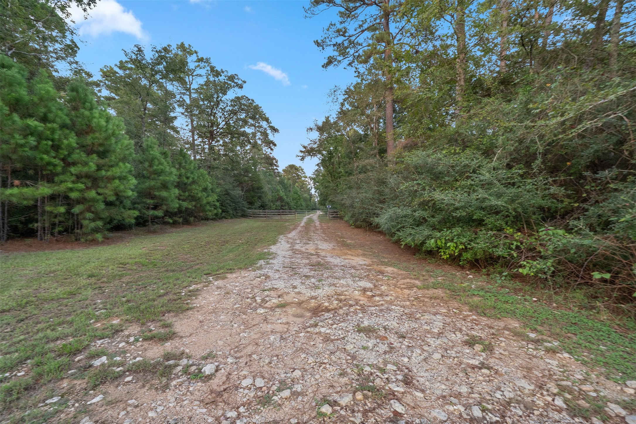 6970 Longmire Road Property Photo 23