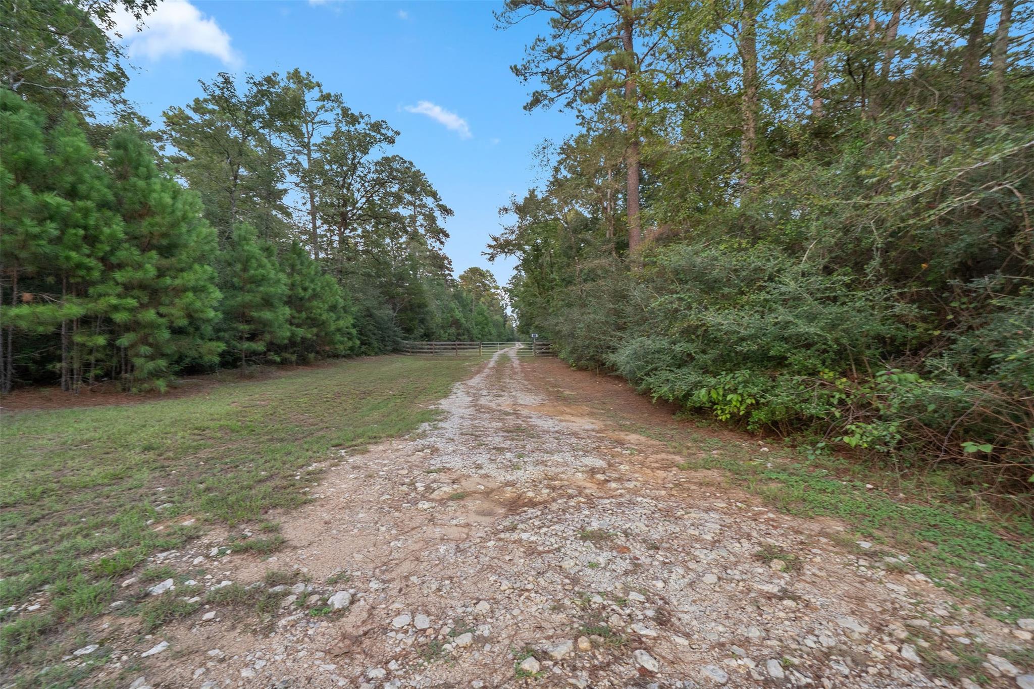 6970 Longmire Road Property Photo 33