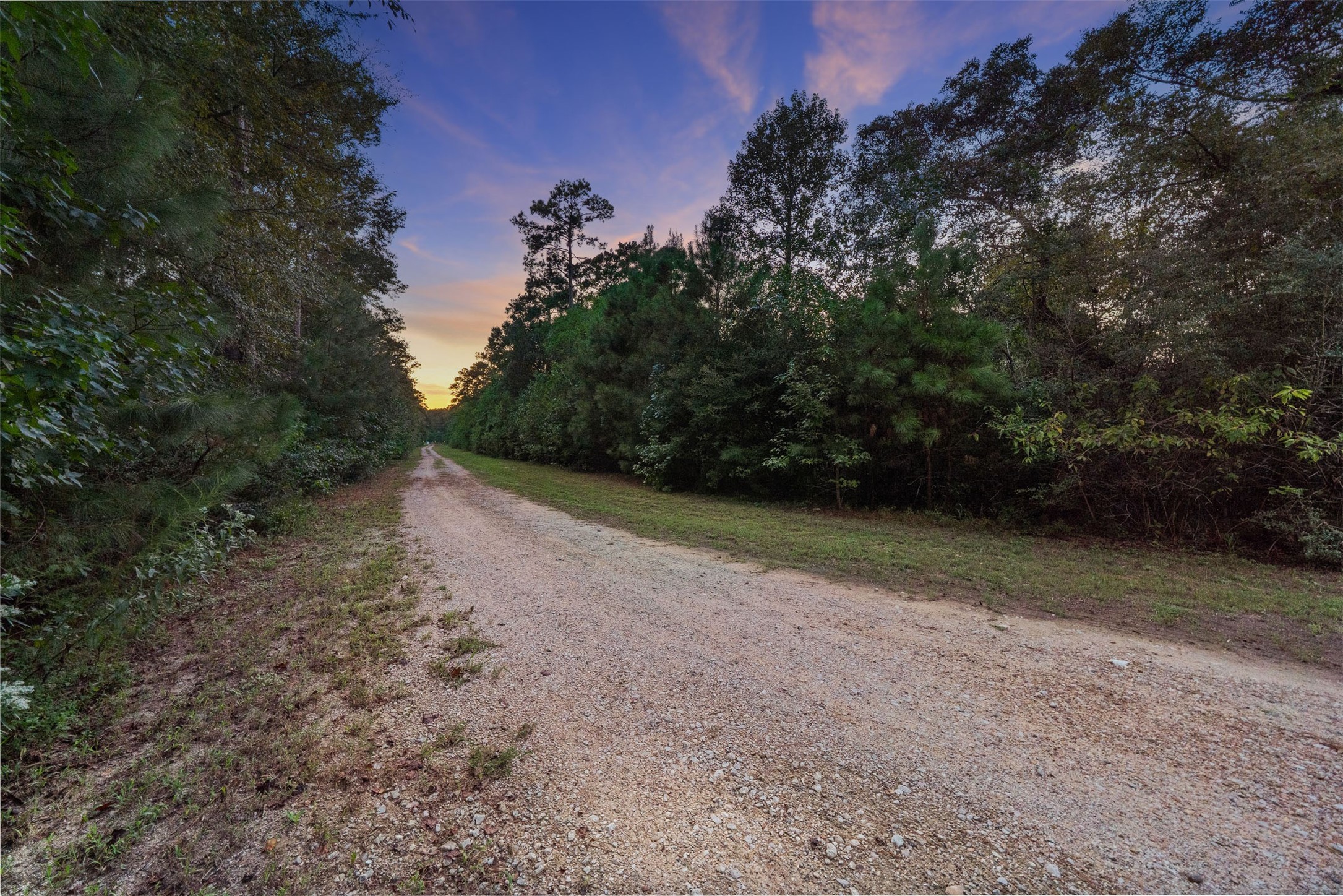 6970 Longmire Road Property Photo 48