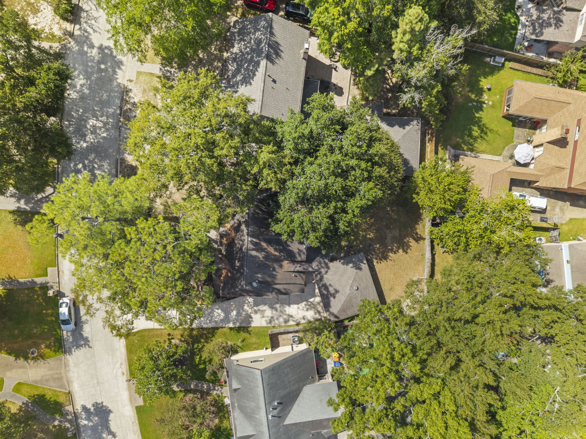 3319 Three Pines Drive Property Photo 6