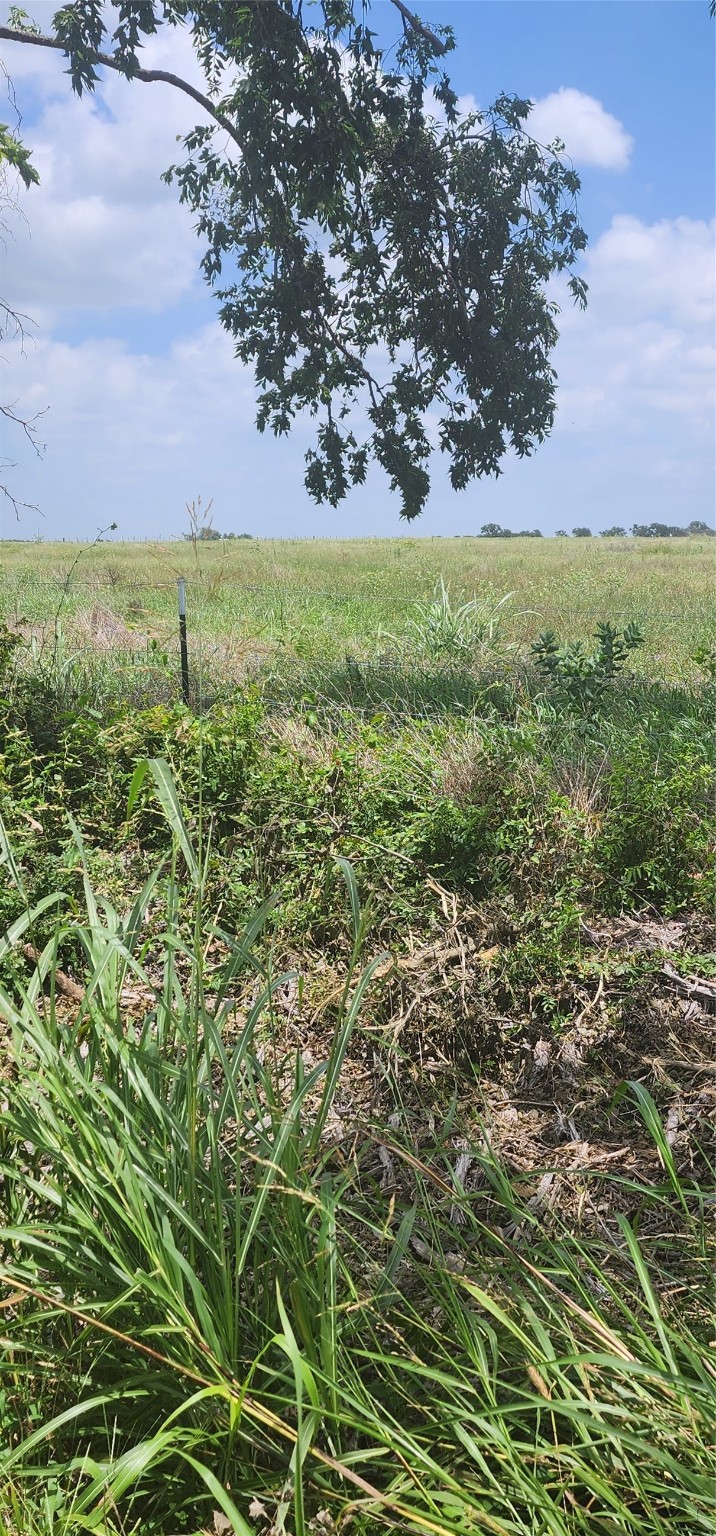 00 County Road 654 Property Photo 4