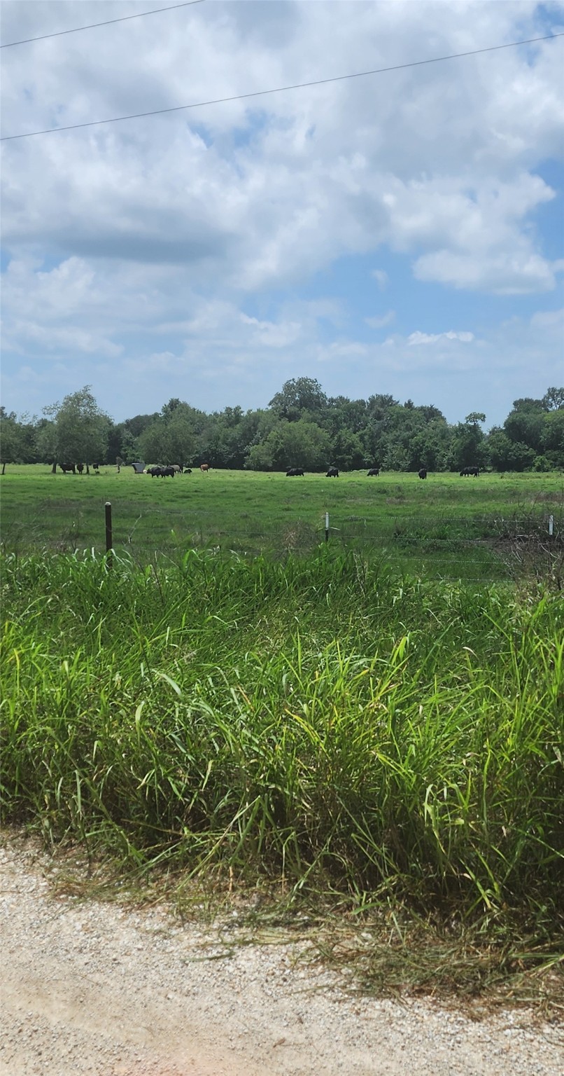 00 County Road 654 Property Photo 5