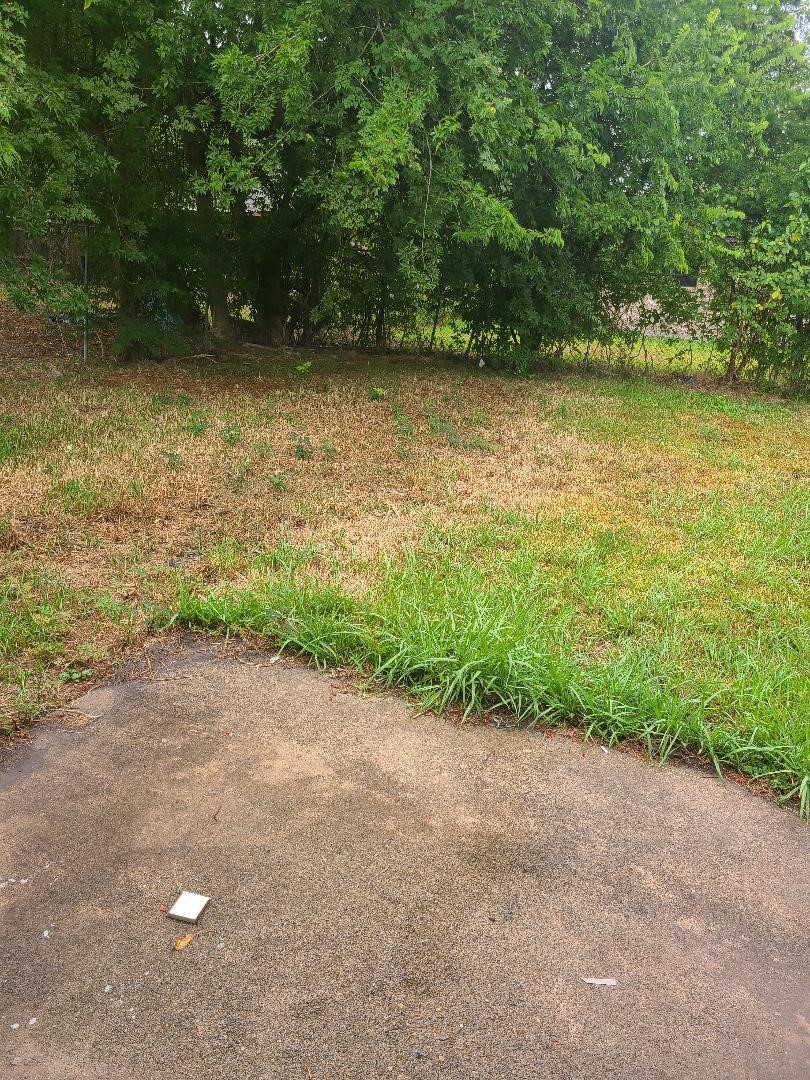 12823 Glenhollow Drive Property Photo 7