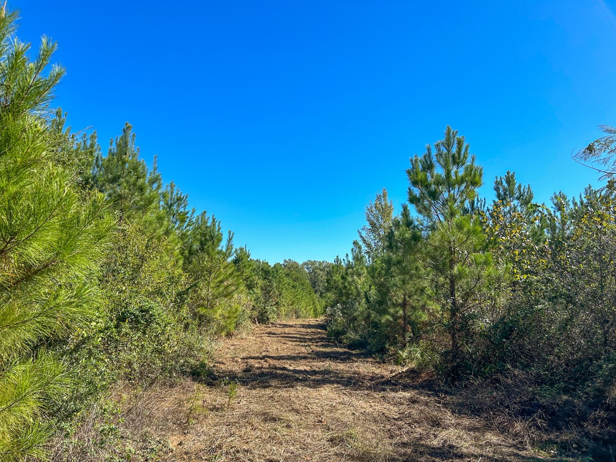 00 Cr 3121 Property Photo 12