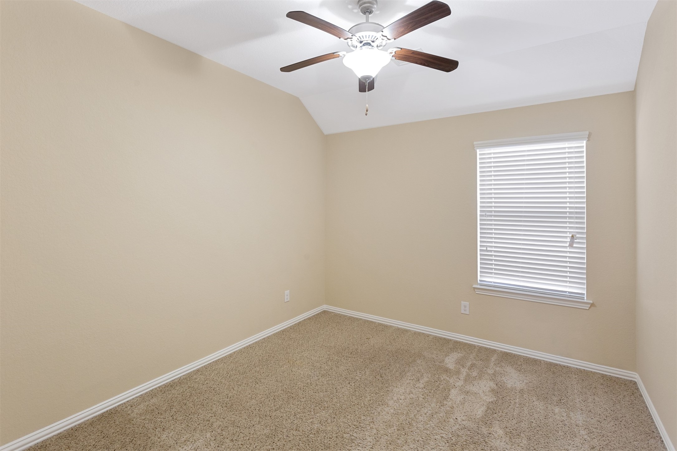 4319 Thornapple Hills Court Property Photo 19