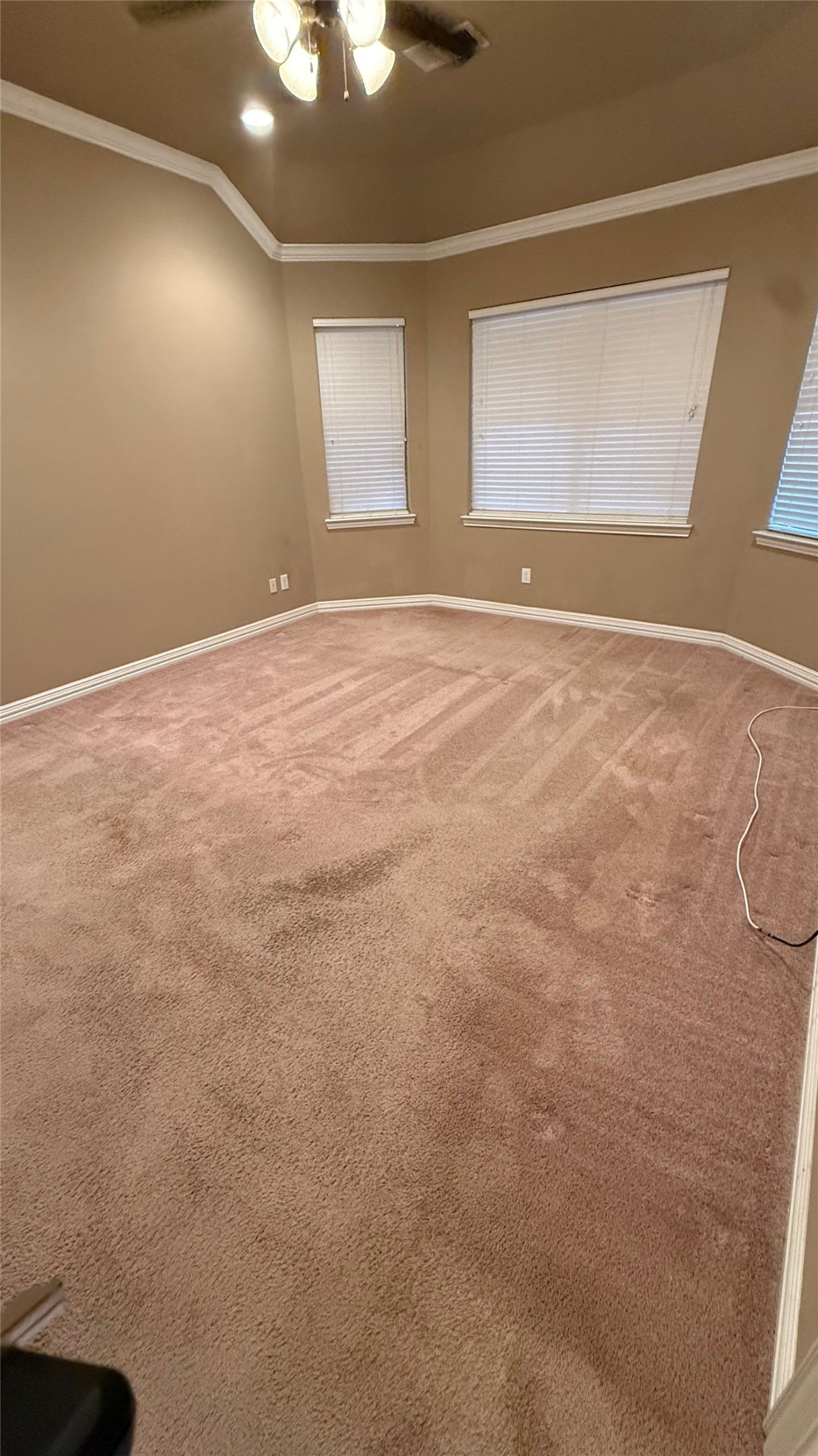 107 Mallory Property Photo 14