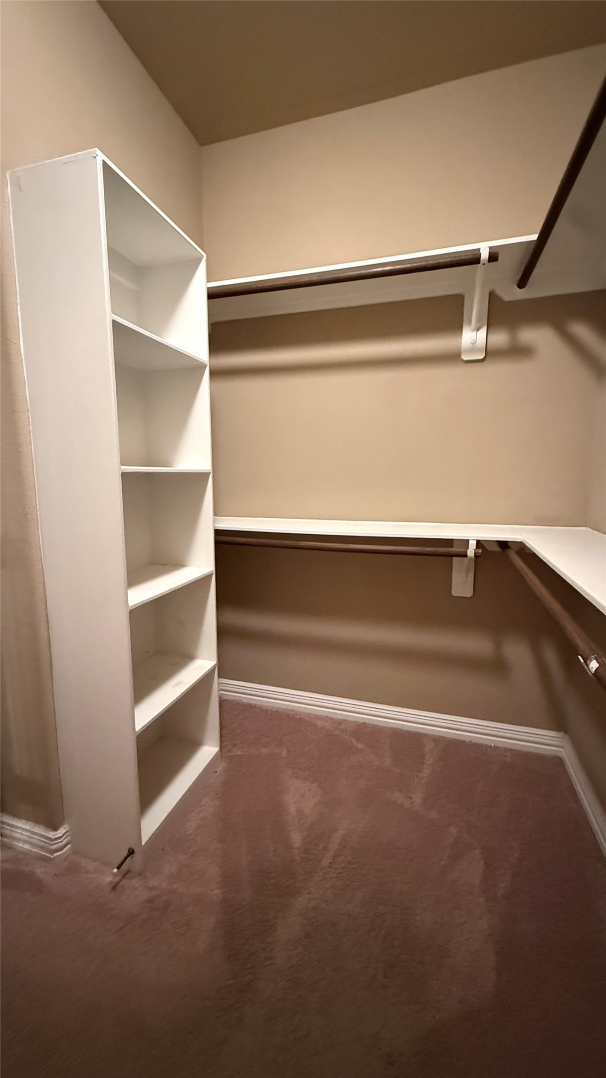 107 Mallory Property Photo 16