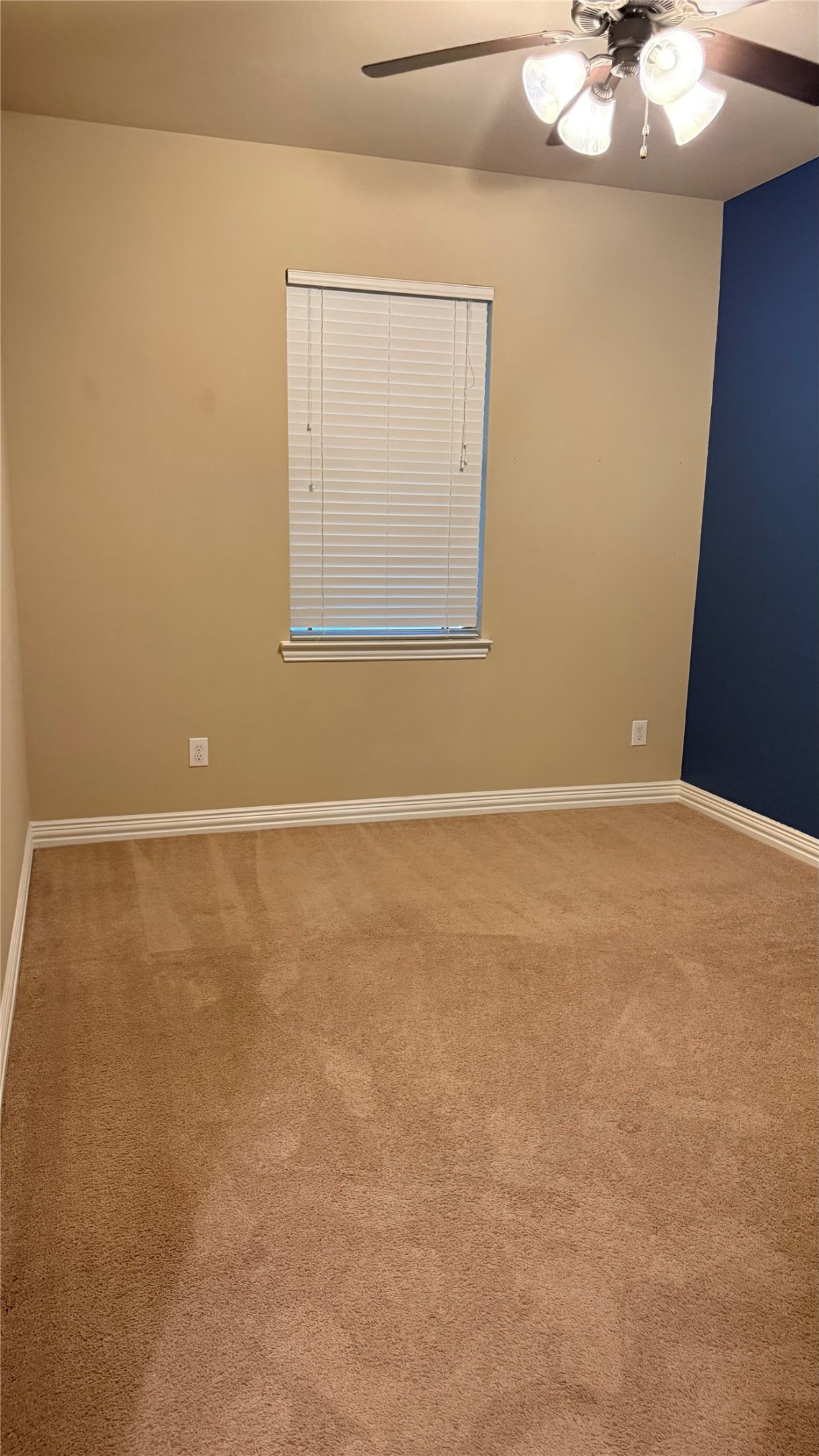 107 Mallory Property Photo 21