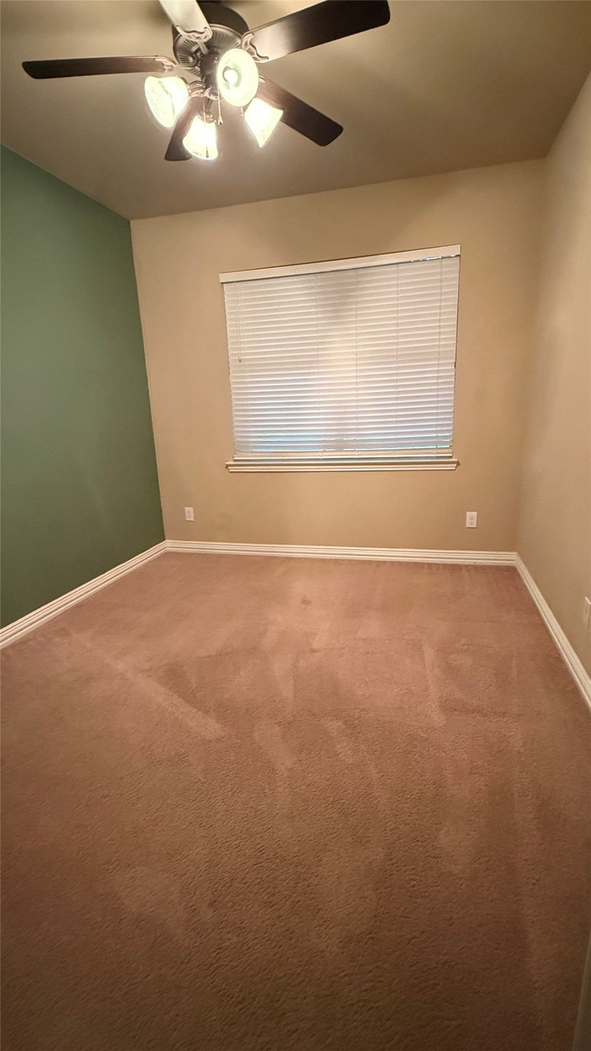 107 Mallory Property Photo 24