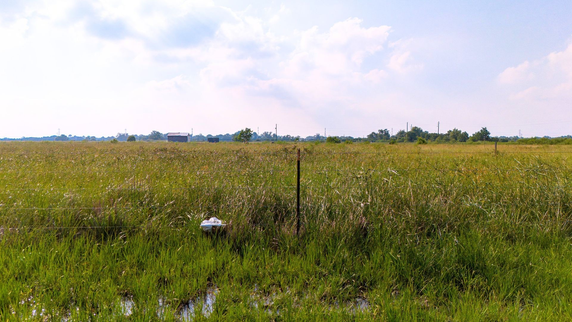 Tbd Hughes Road Property Photo 23