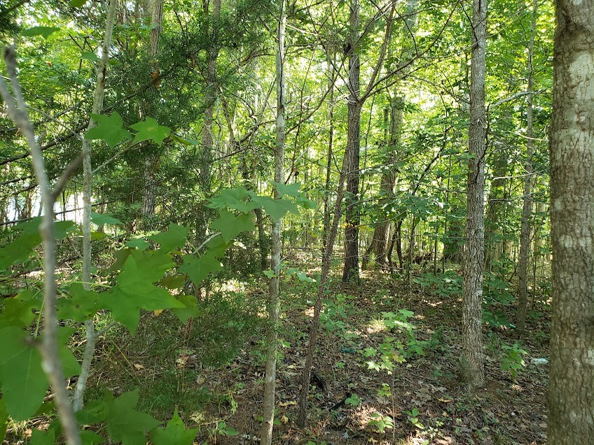 7092 Porter Drive Property Photo 3