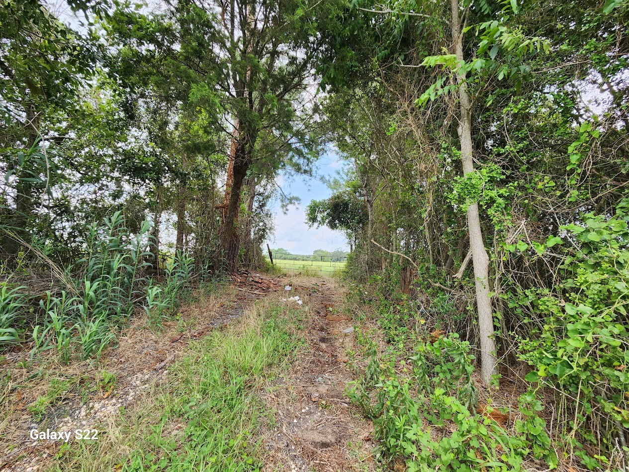 40224 Fm 1488 Road Property Photo 1