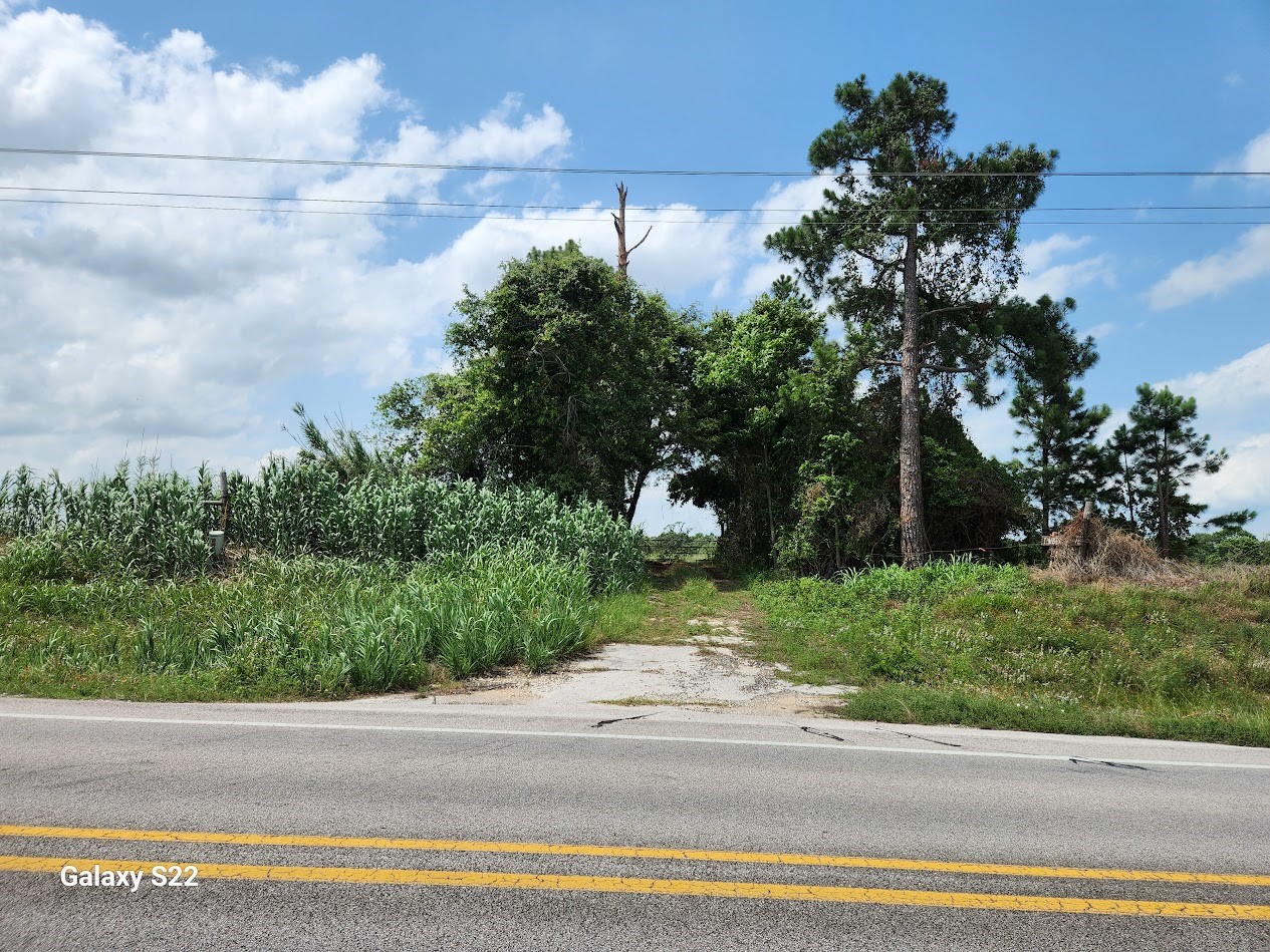 40224 Fm 1488 Road Property Photo 3