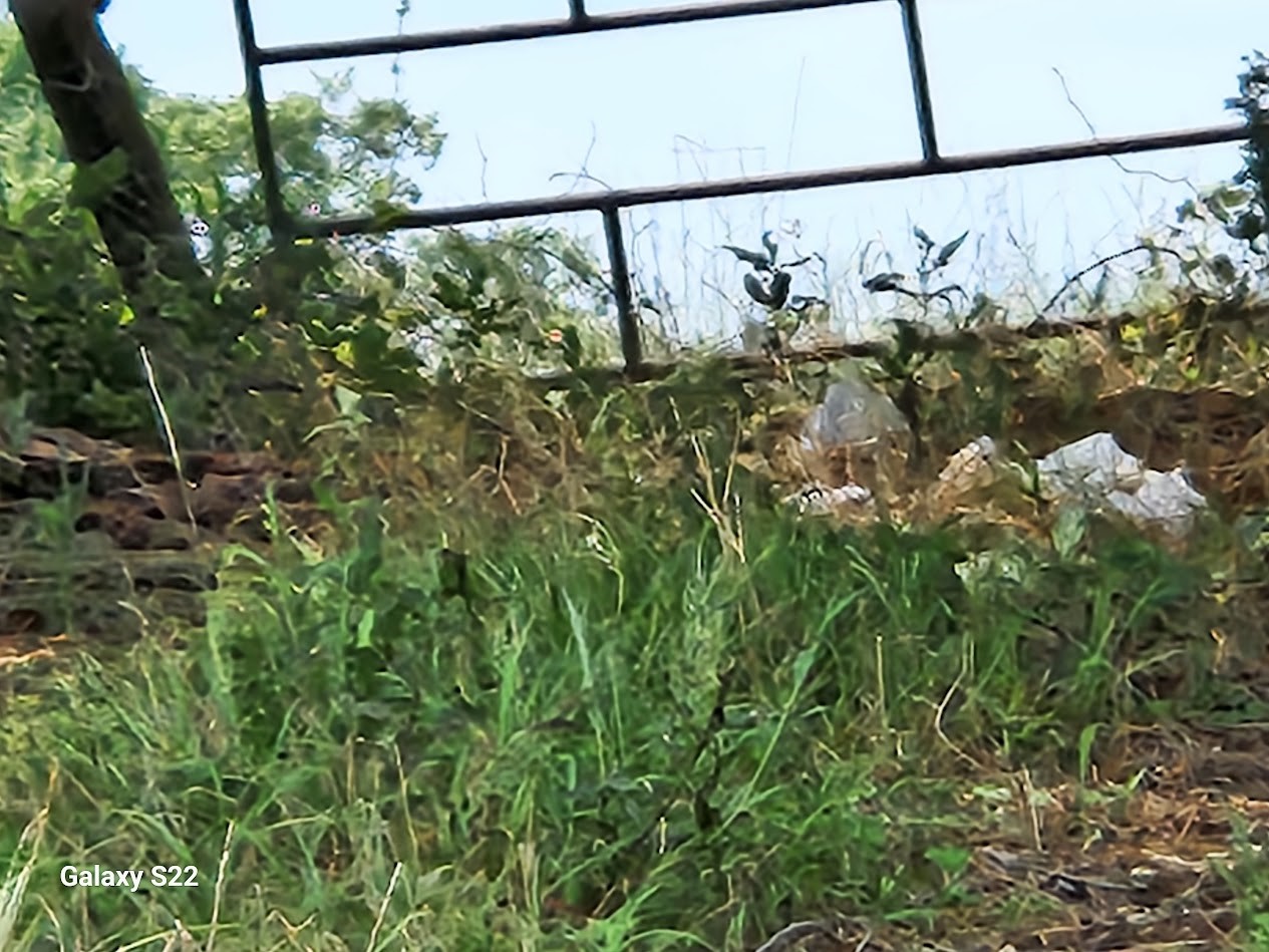 40224 Fm 1488 Road Property Photo 9