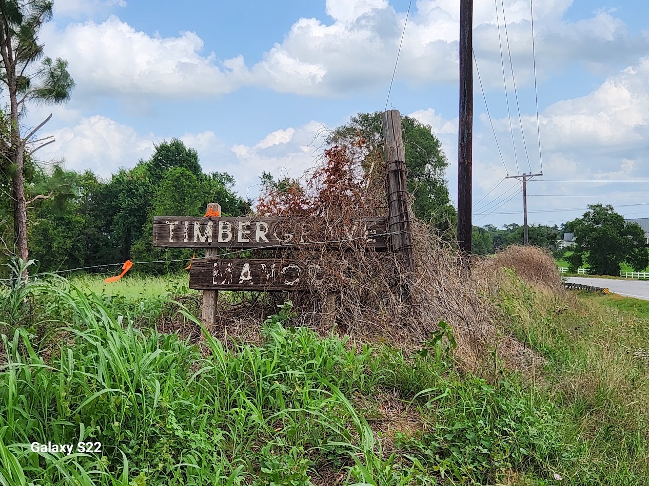 40224 Fm 1488 Road Property Photo 10