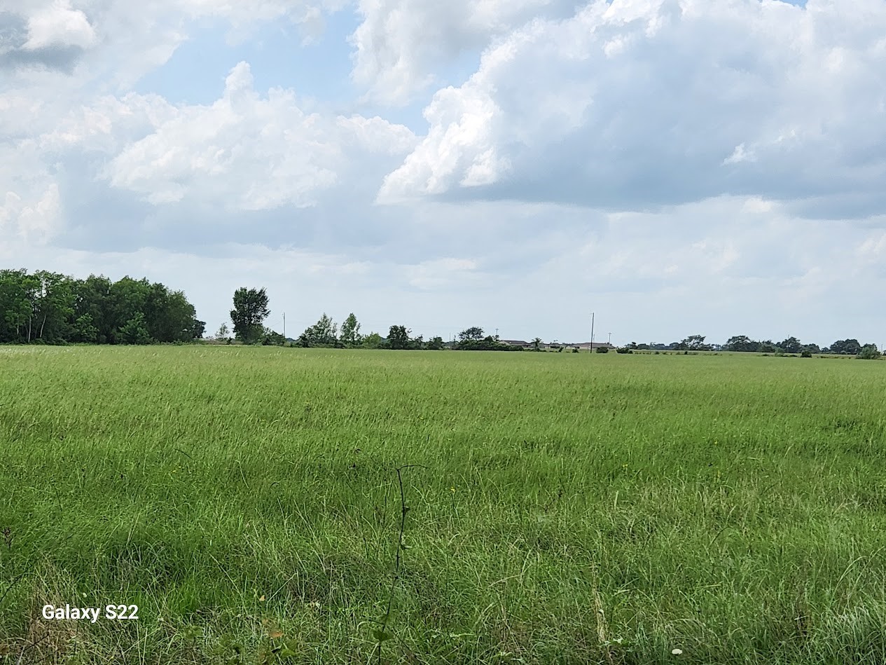 40224 Fm 1488 Road Property Photo 11