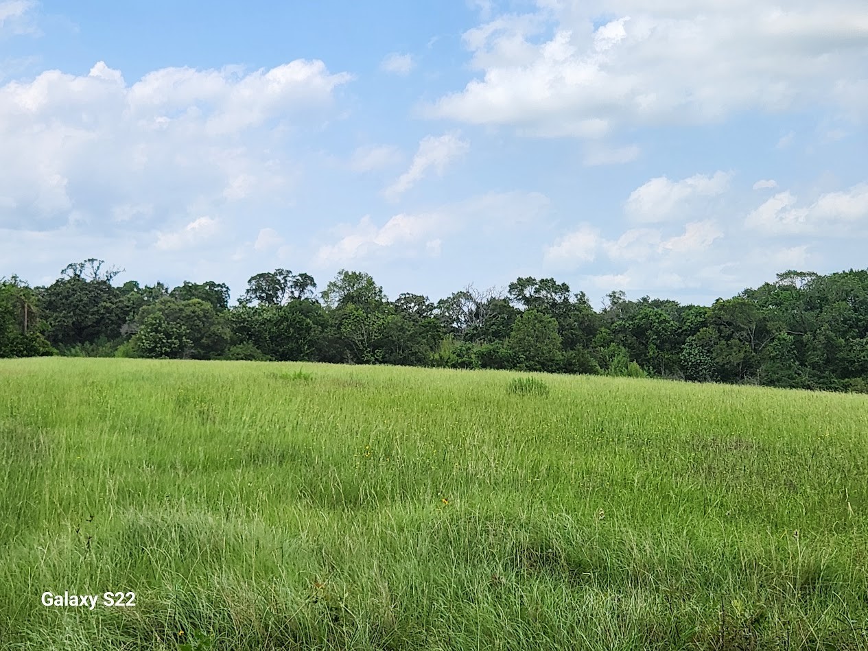 40224 Fm 1488 Road Property Photo 12
