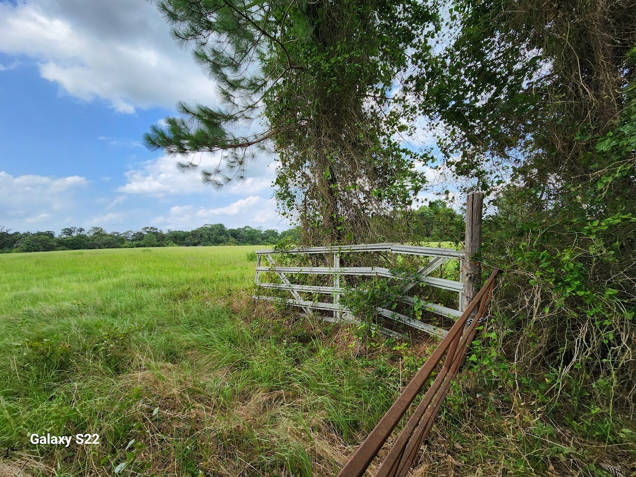 40224 Fm 1488 Road Property Photo 13