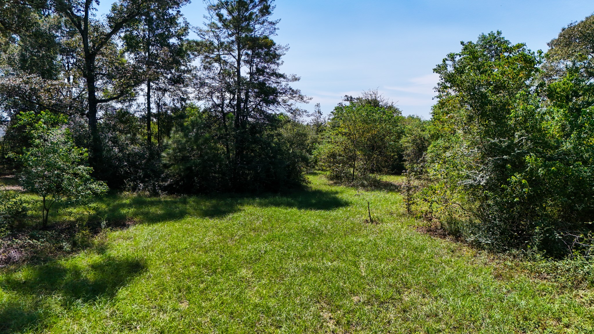 17652 Hwy 105 E Property Photo 4