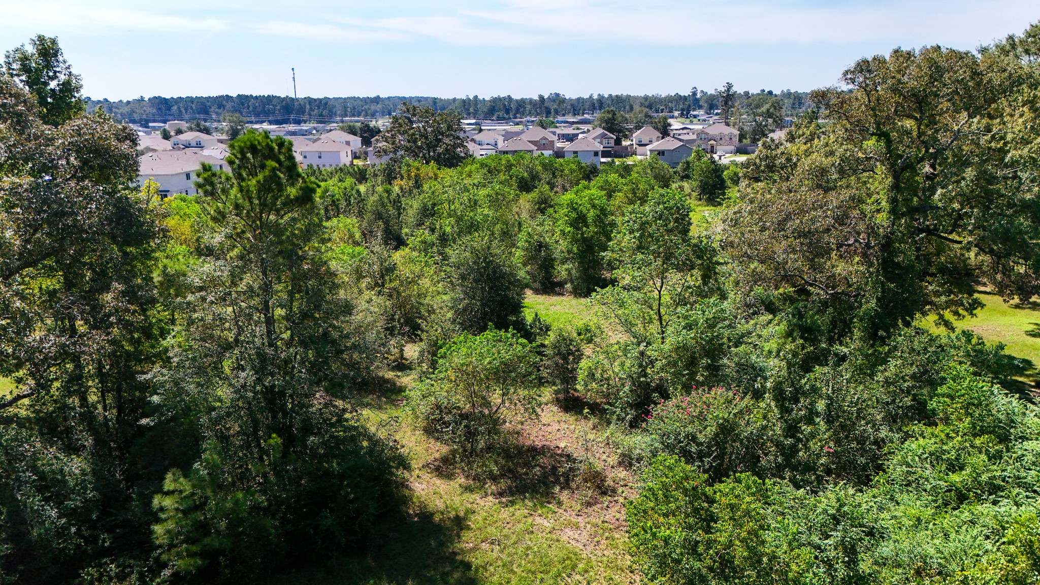 17652 Hwy 105 E Property Photo 12