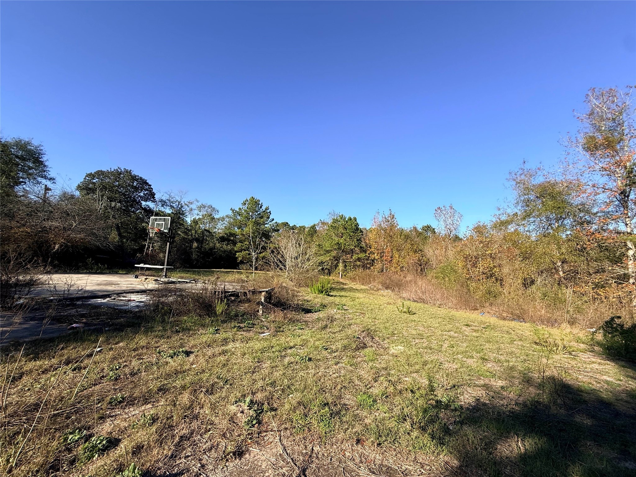 719 County Rd 3880 Property Photo 8