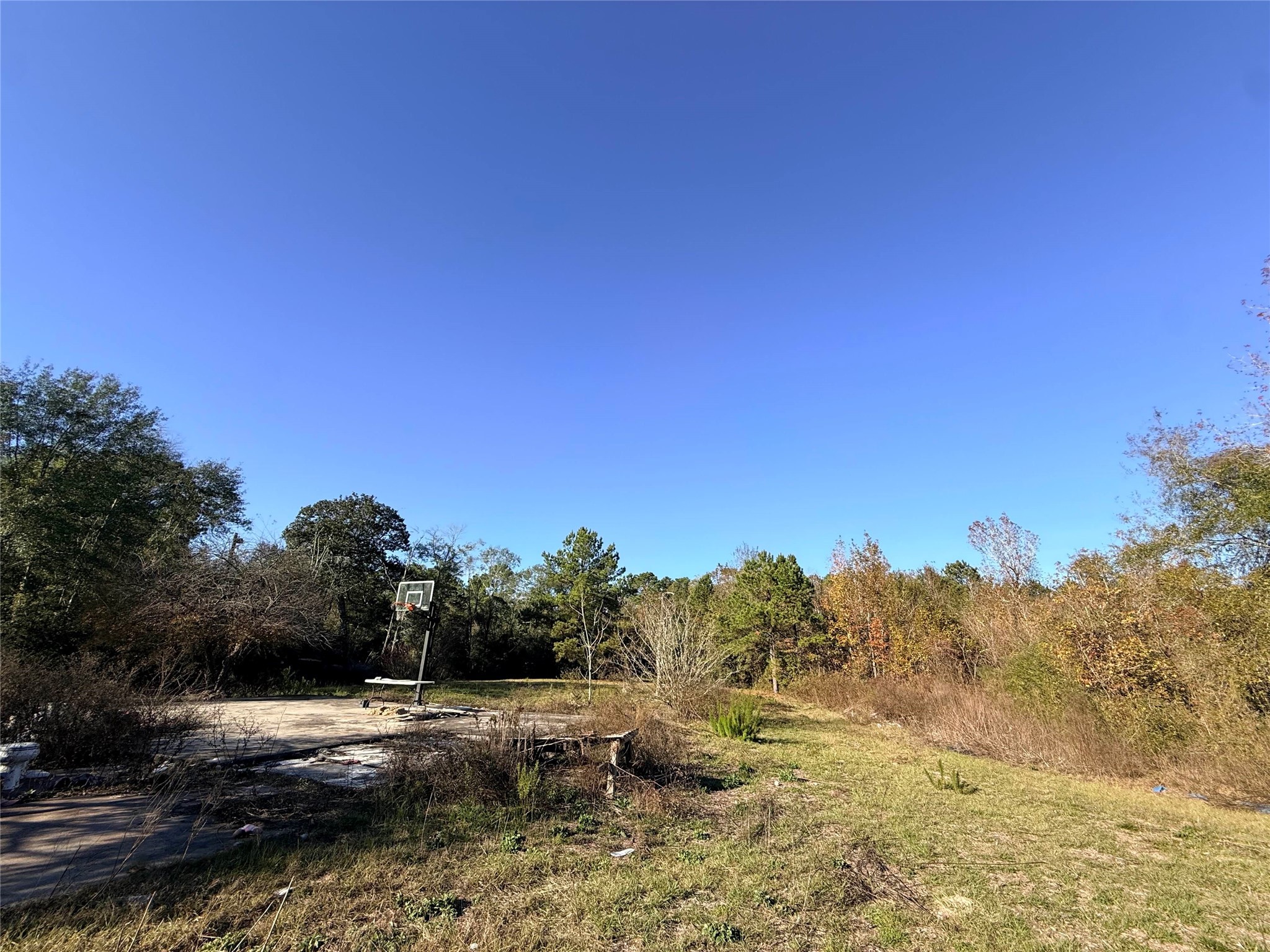 719 County Rd 3880 Property Photo 9
